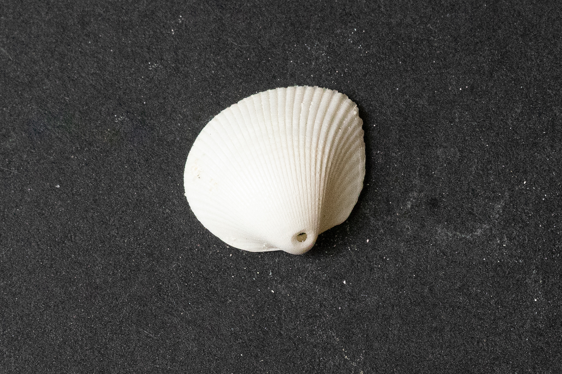 Lutétien moyen