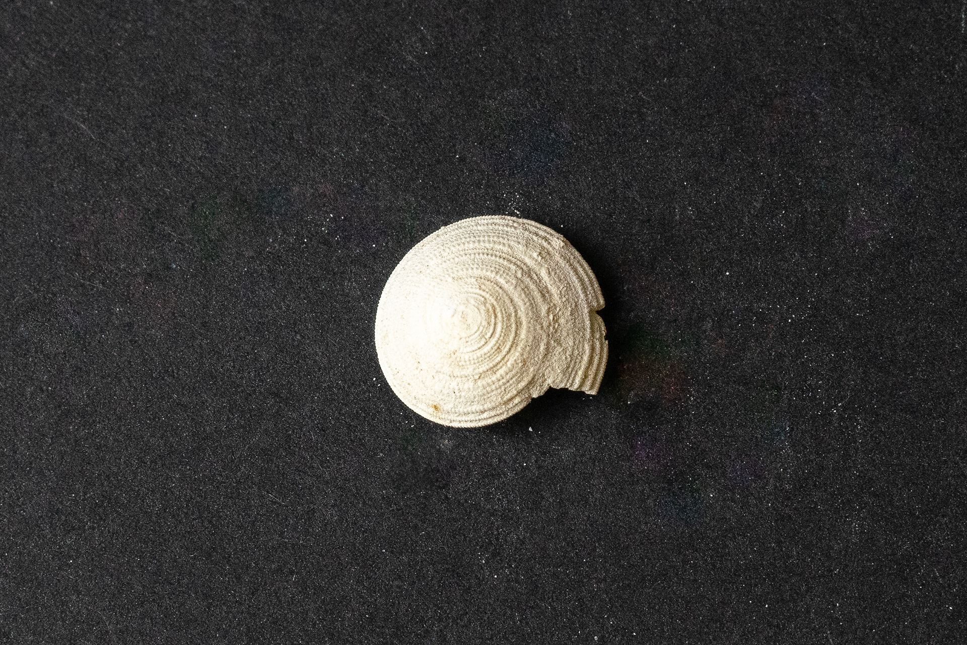 Lutétien moyen