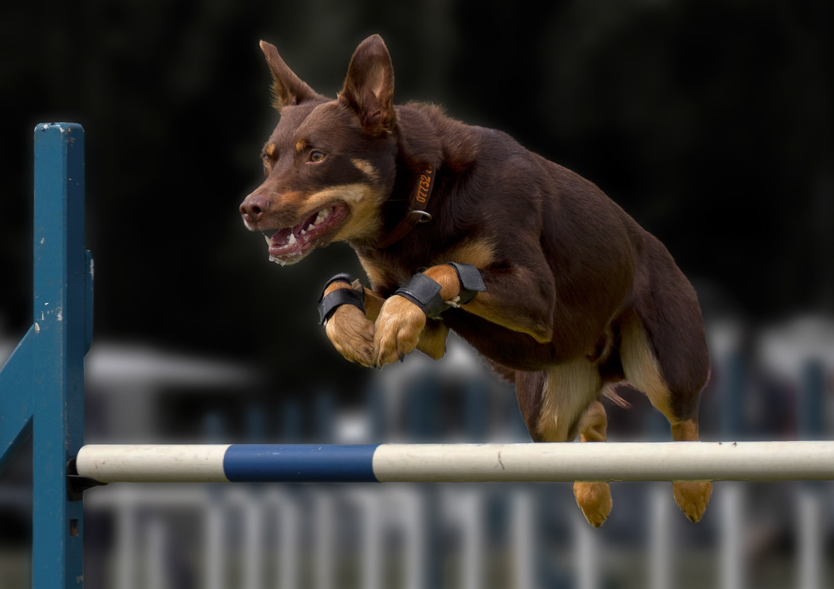 The Final Jump