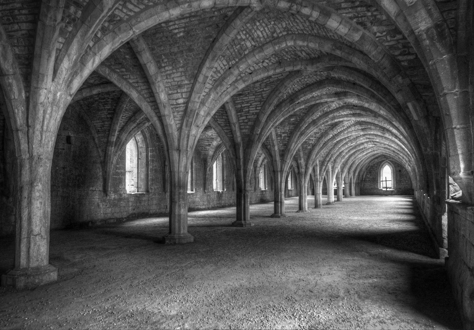 Vaulted Cellarium