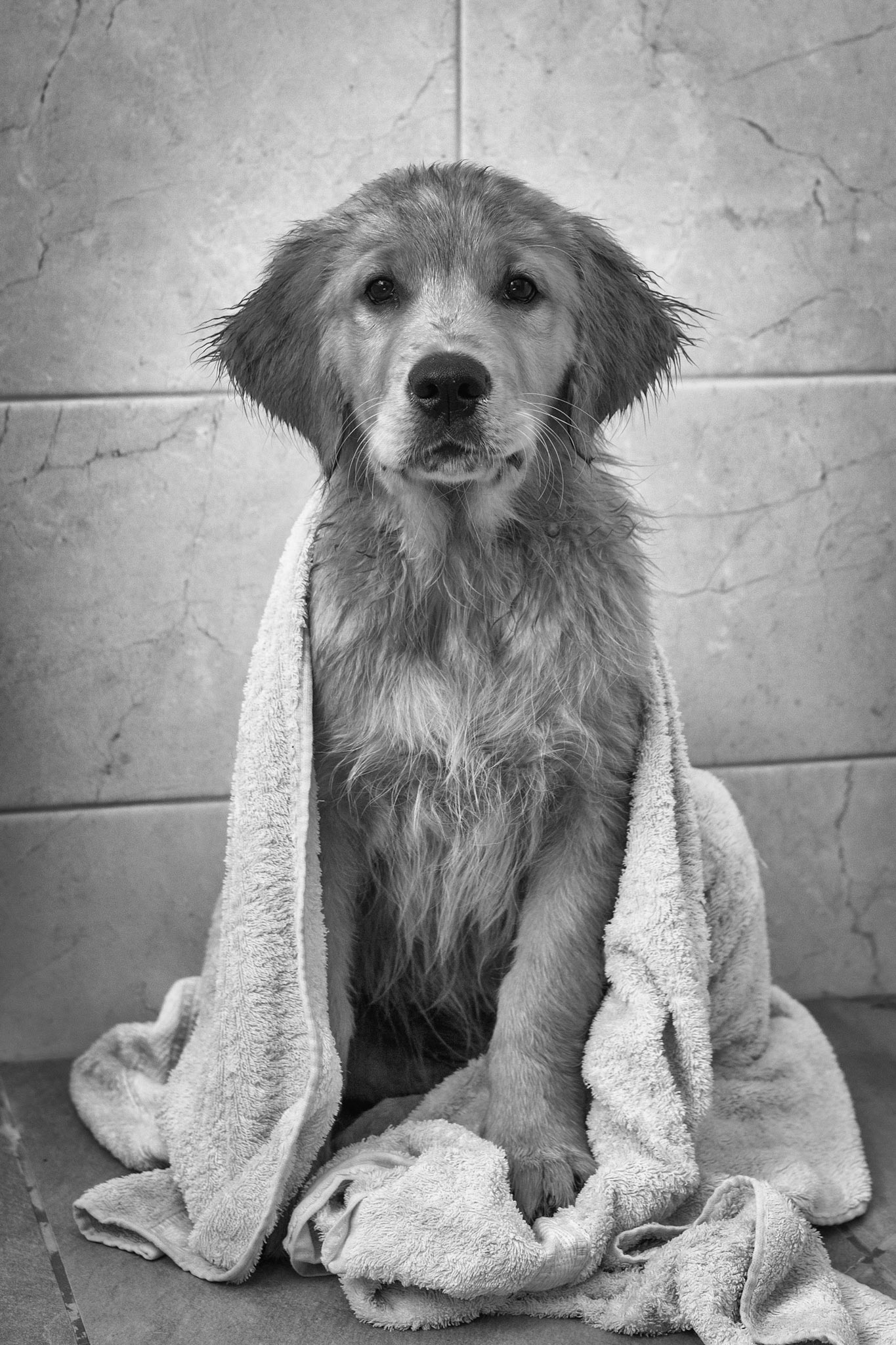 Bath Time