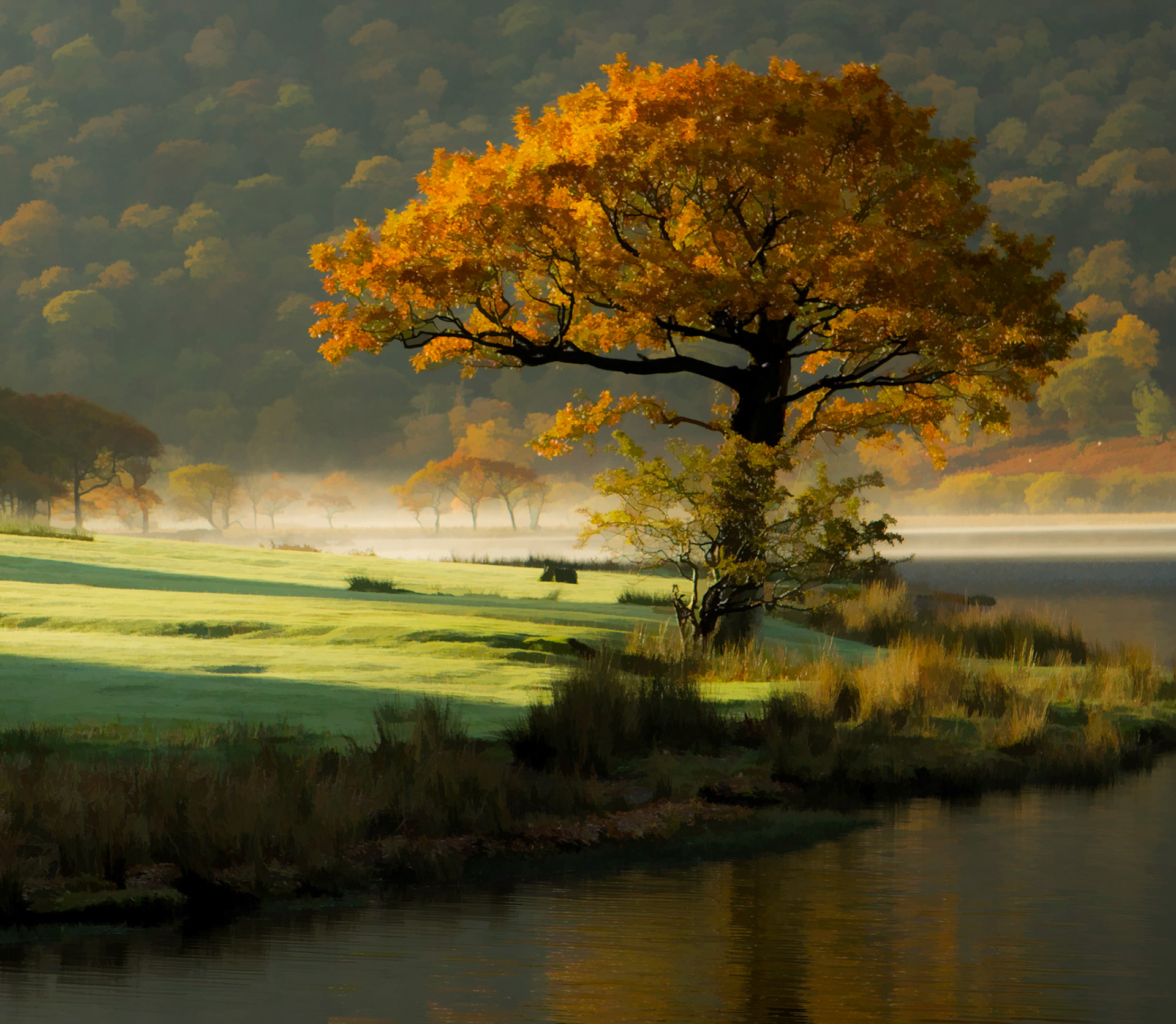 Autumn Light