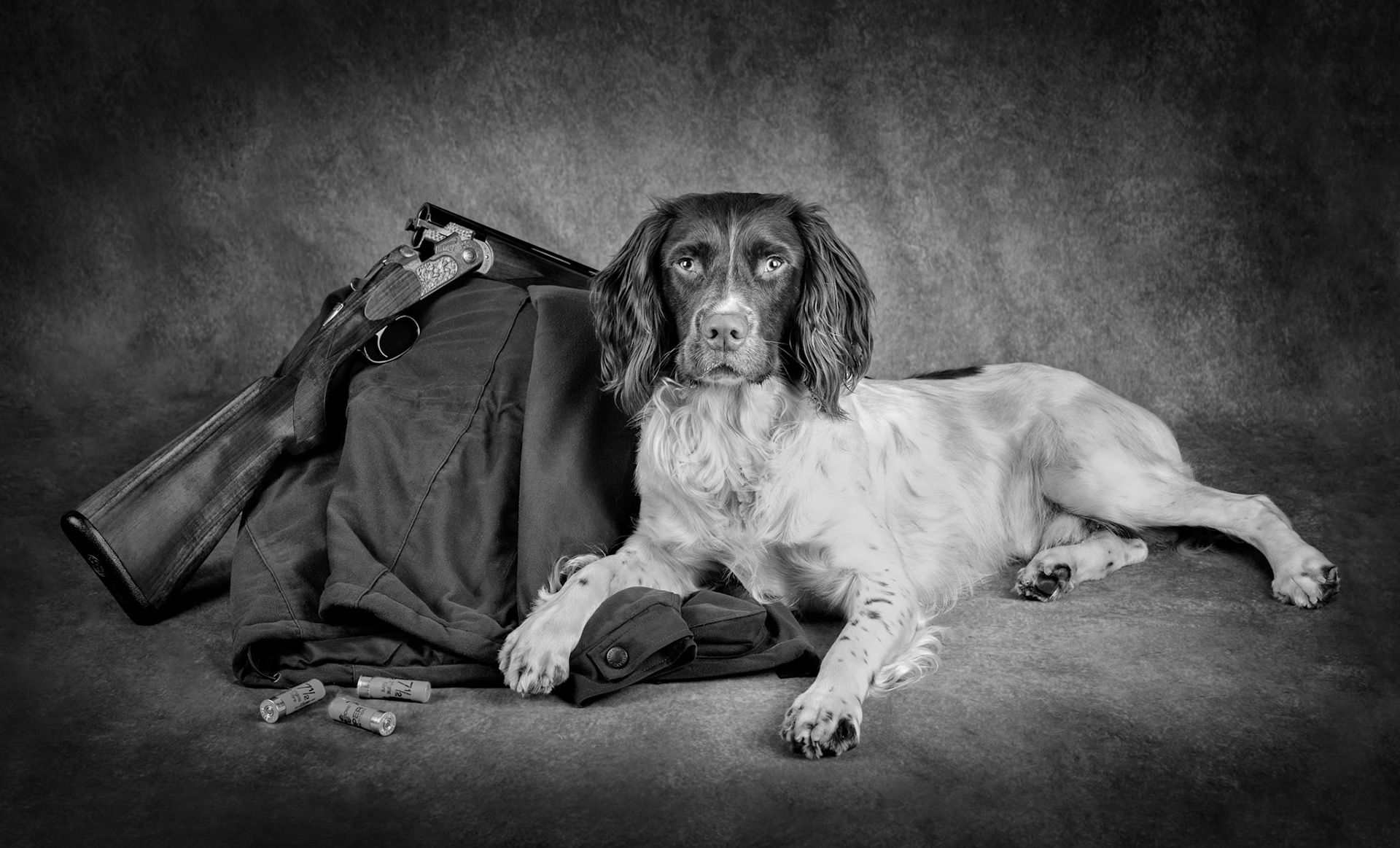 Gundog