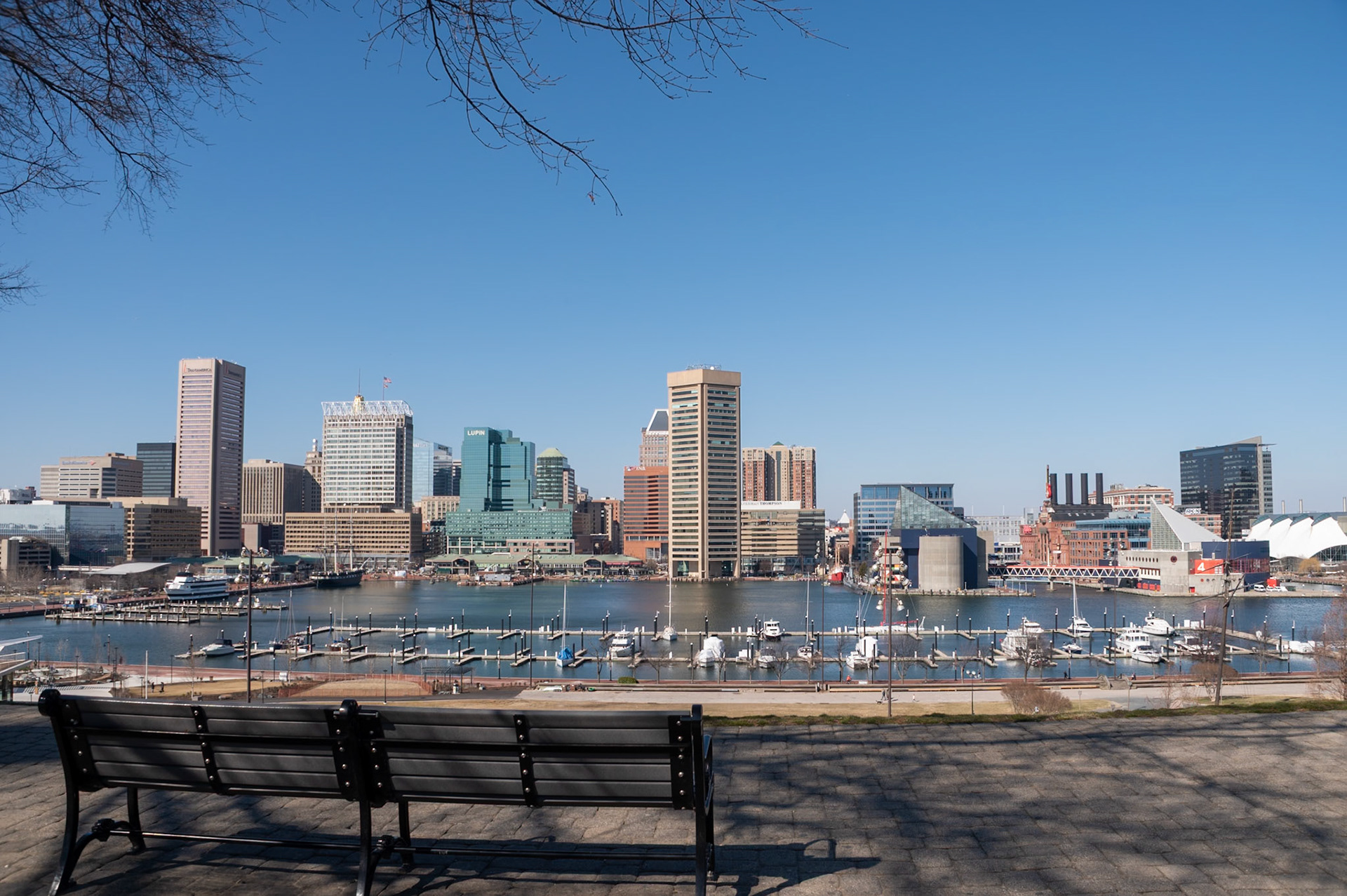 Commanding view of Baltimore skyline from Federal Hill Park