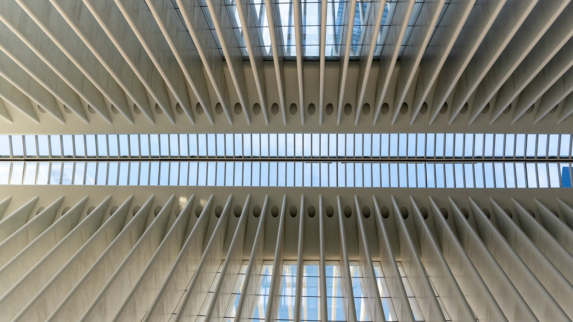 Looking straight up at the Oculus ceiling on the World Trade Center site.