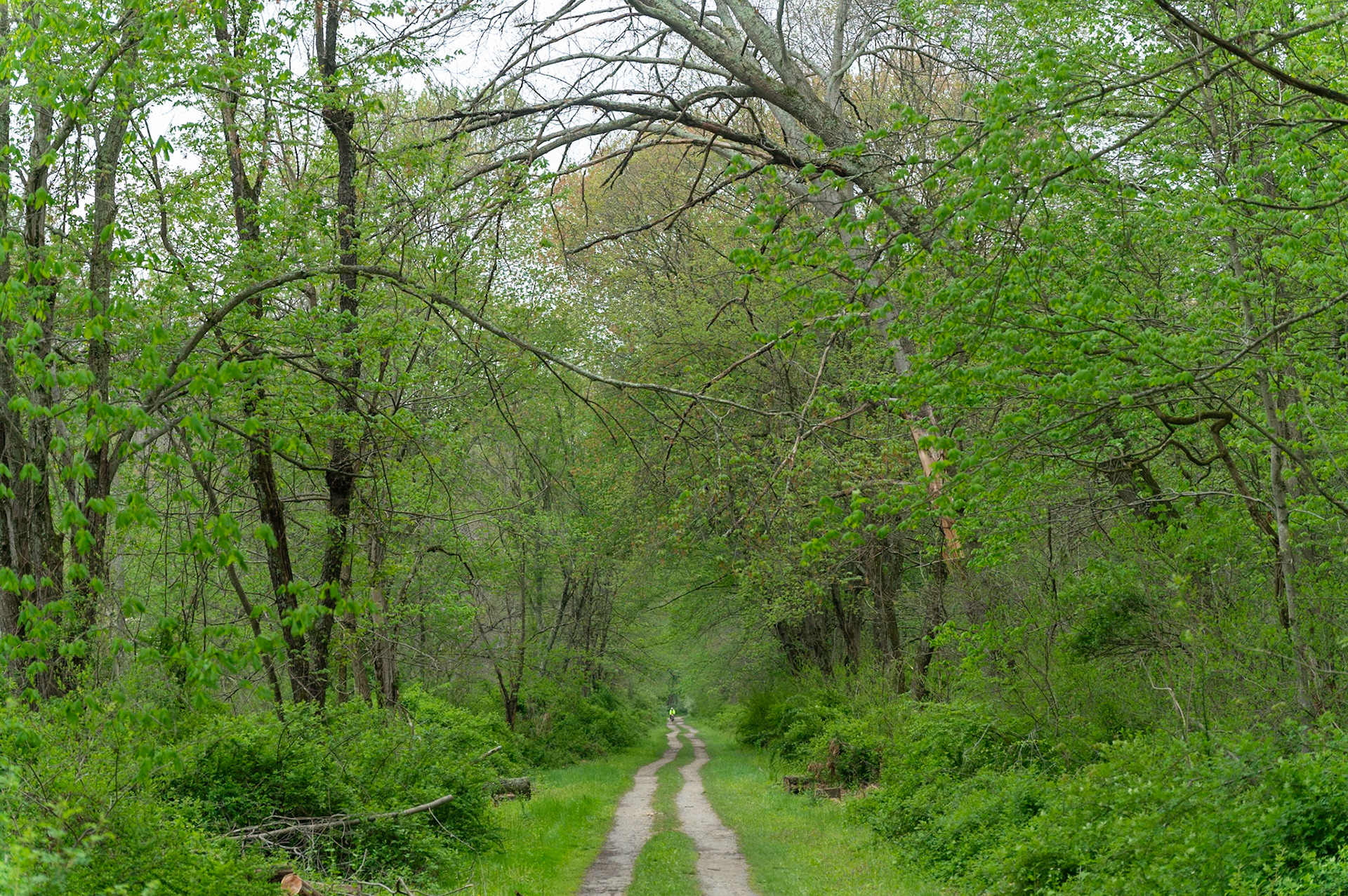 Cyclist on the NCR Trail near the MD/PA state line