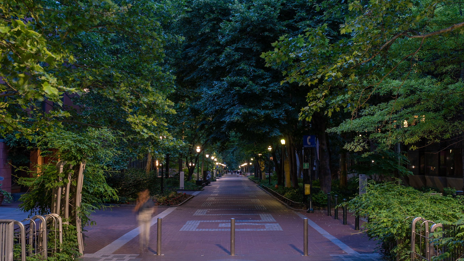 Locust Walk at the University of Penn in Philadelphia