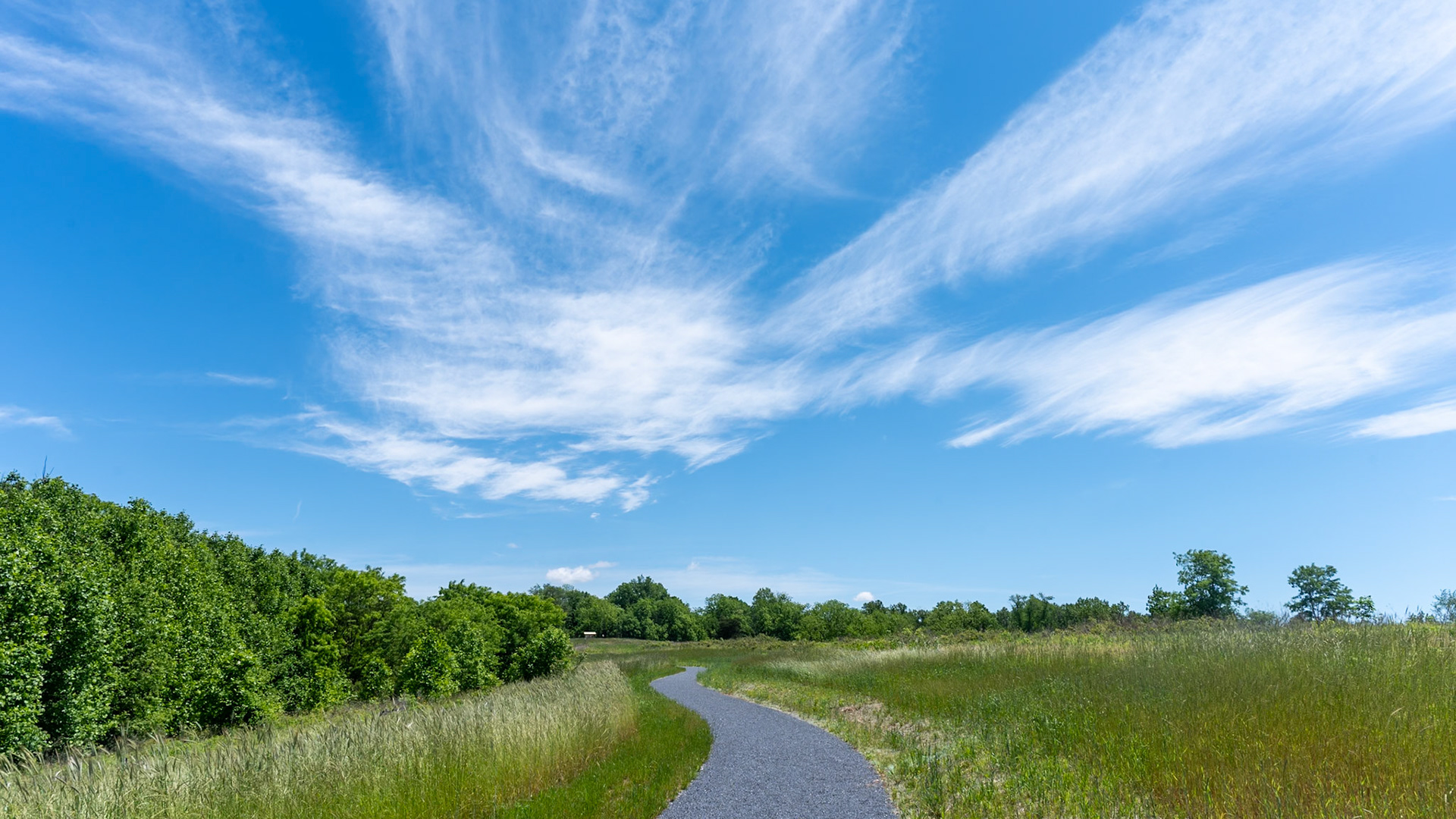 It doesn't have to be a challenging trail to get a beautiful view.