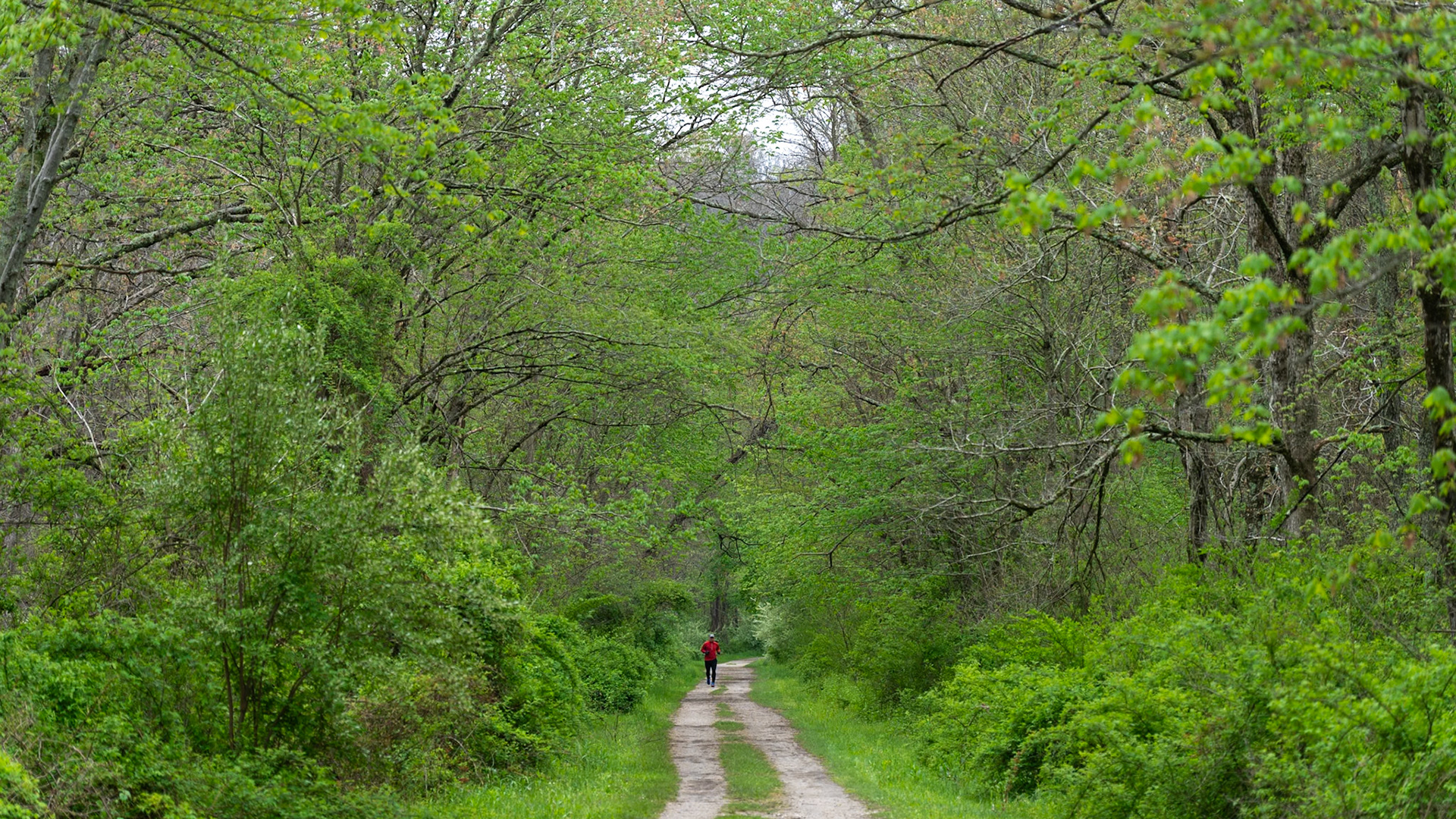 Runner on the NCR Trail near the MD/PA state line