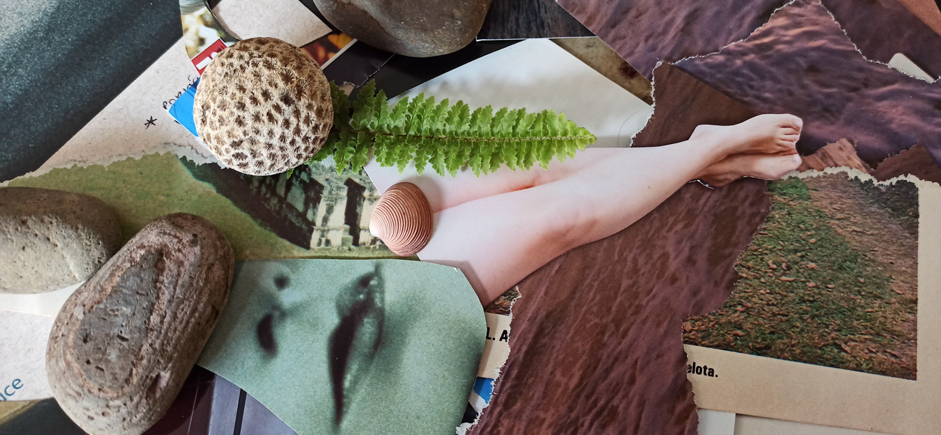 A collage I made recently.