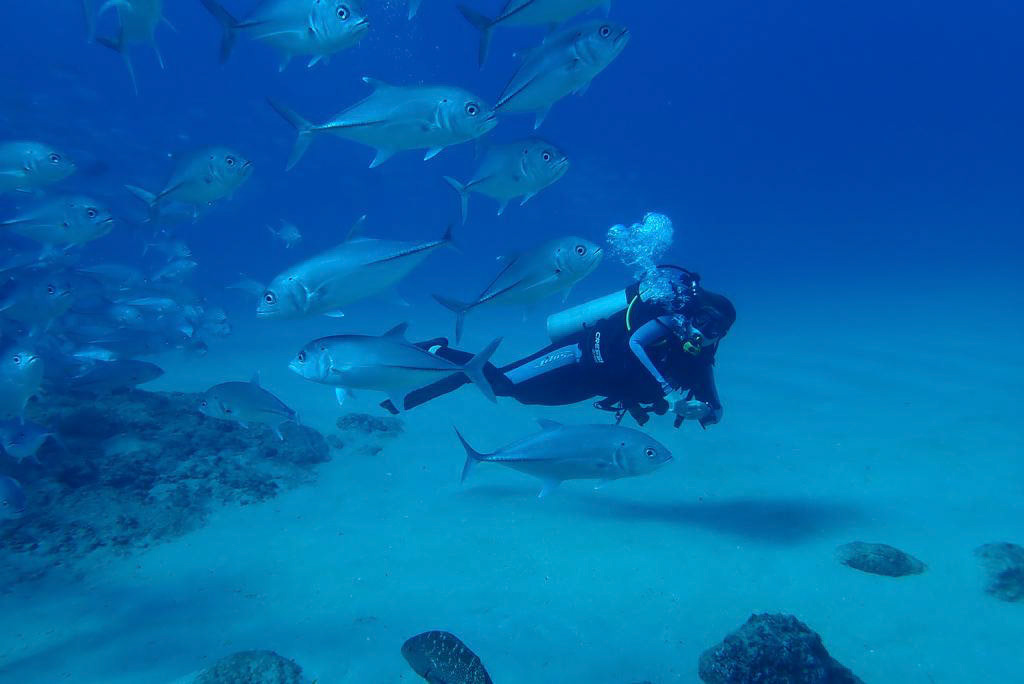 Scuba diving at Cabo Pulmo, Baja California.