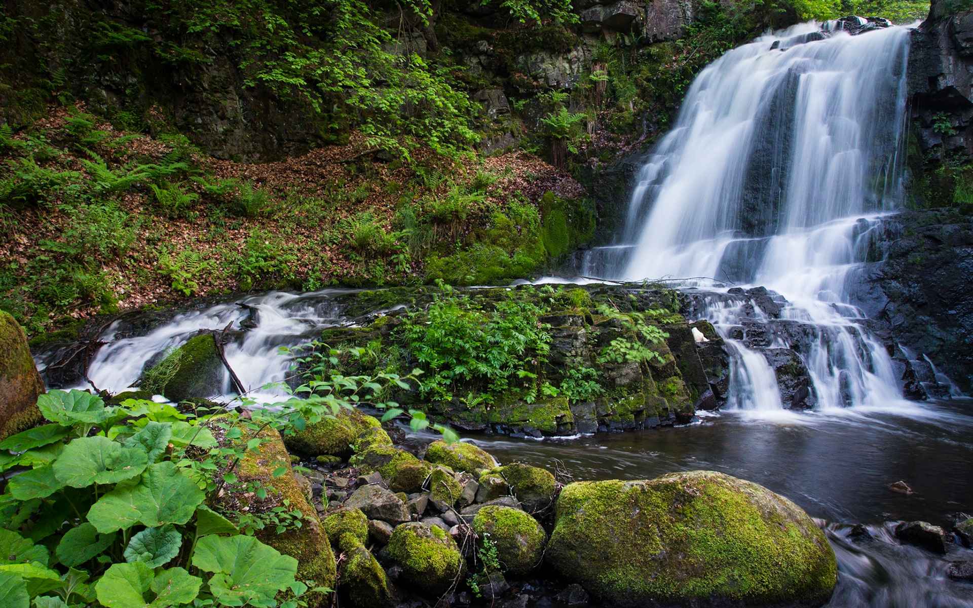 Waterfall in the greens 2