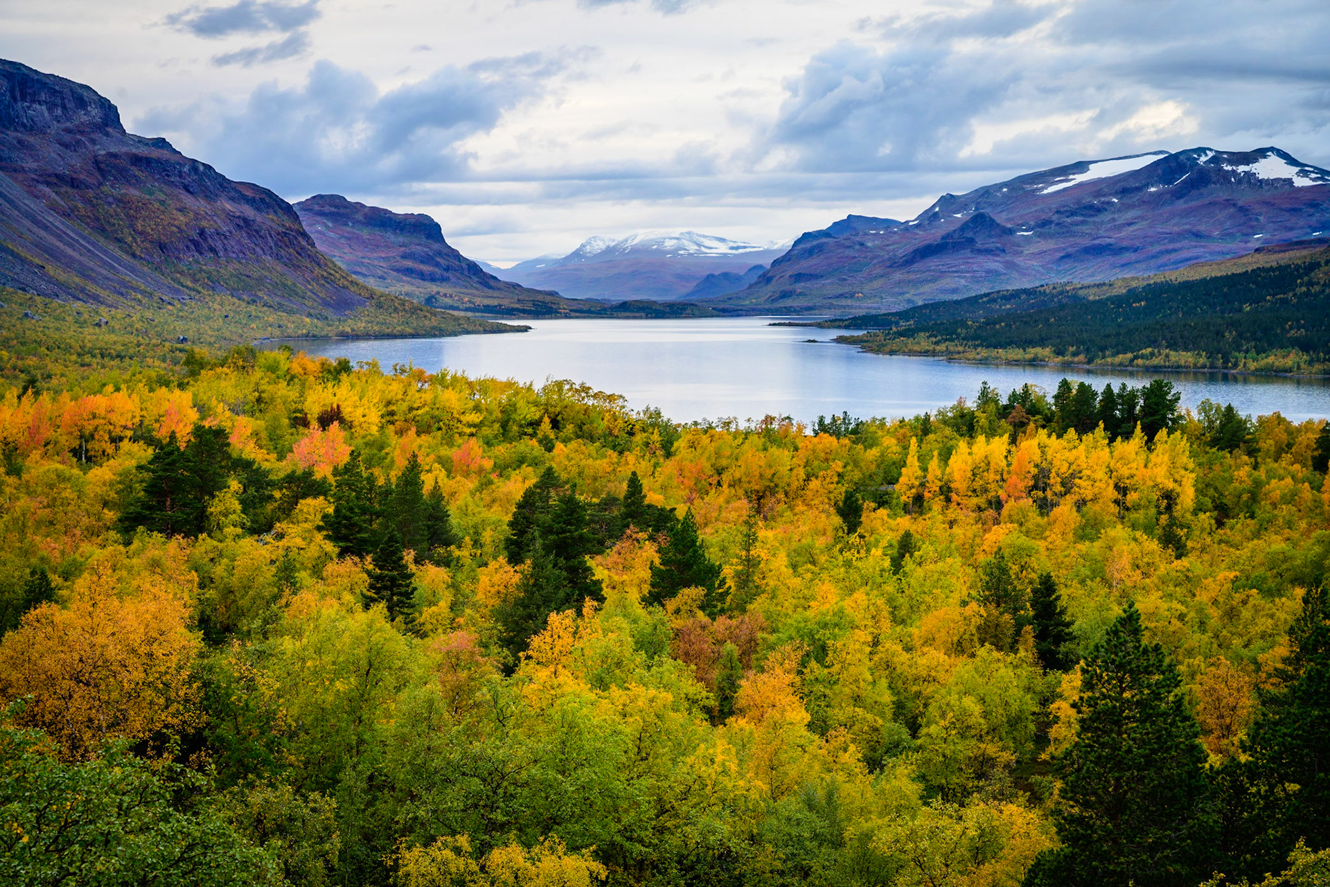 Vy mot Stora Sjöfallet