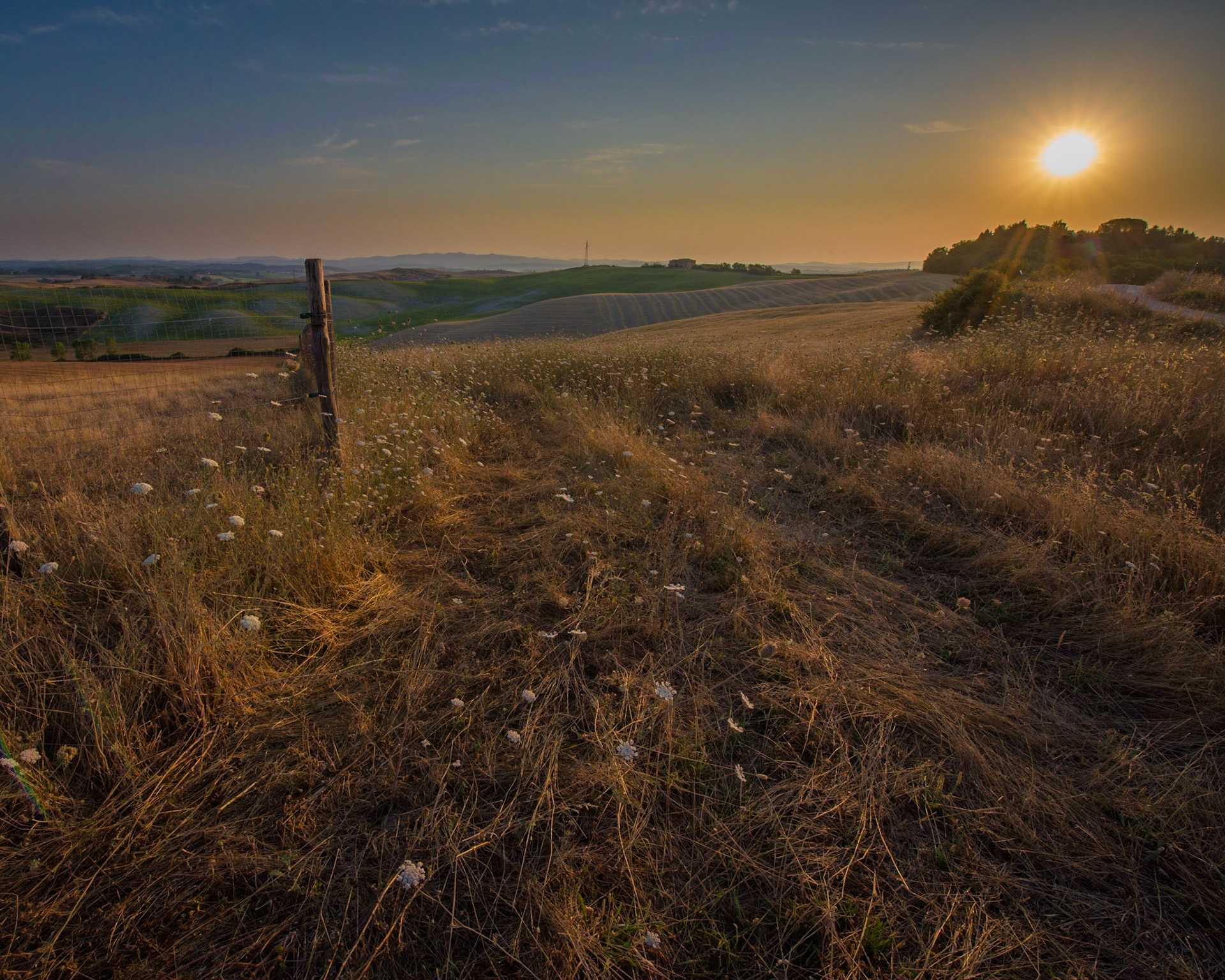 Sunrise over the meadow