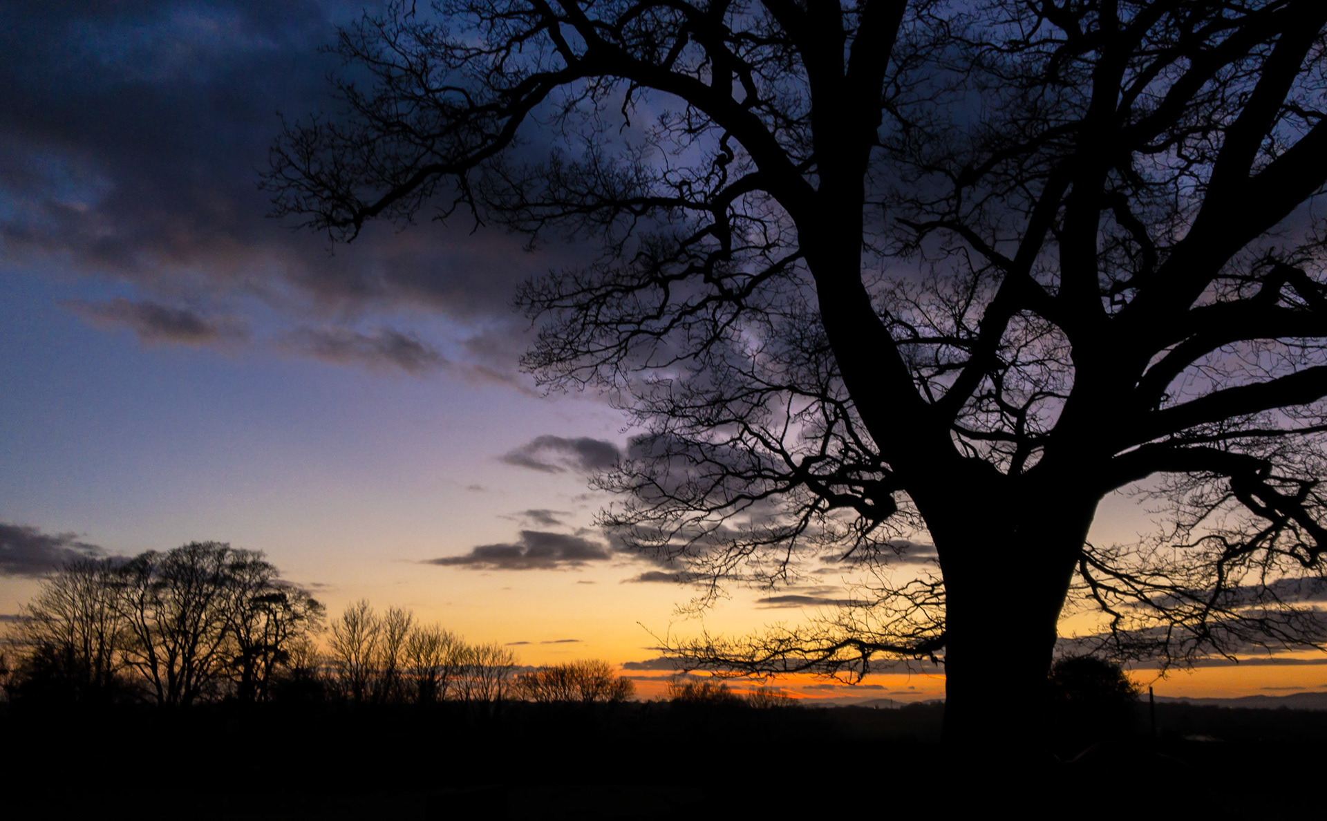 Feb 20th - Sunset silhouette