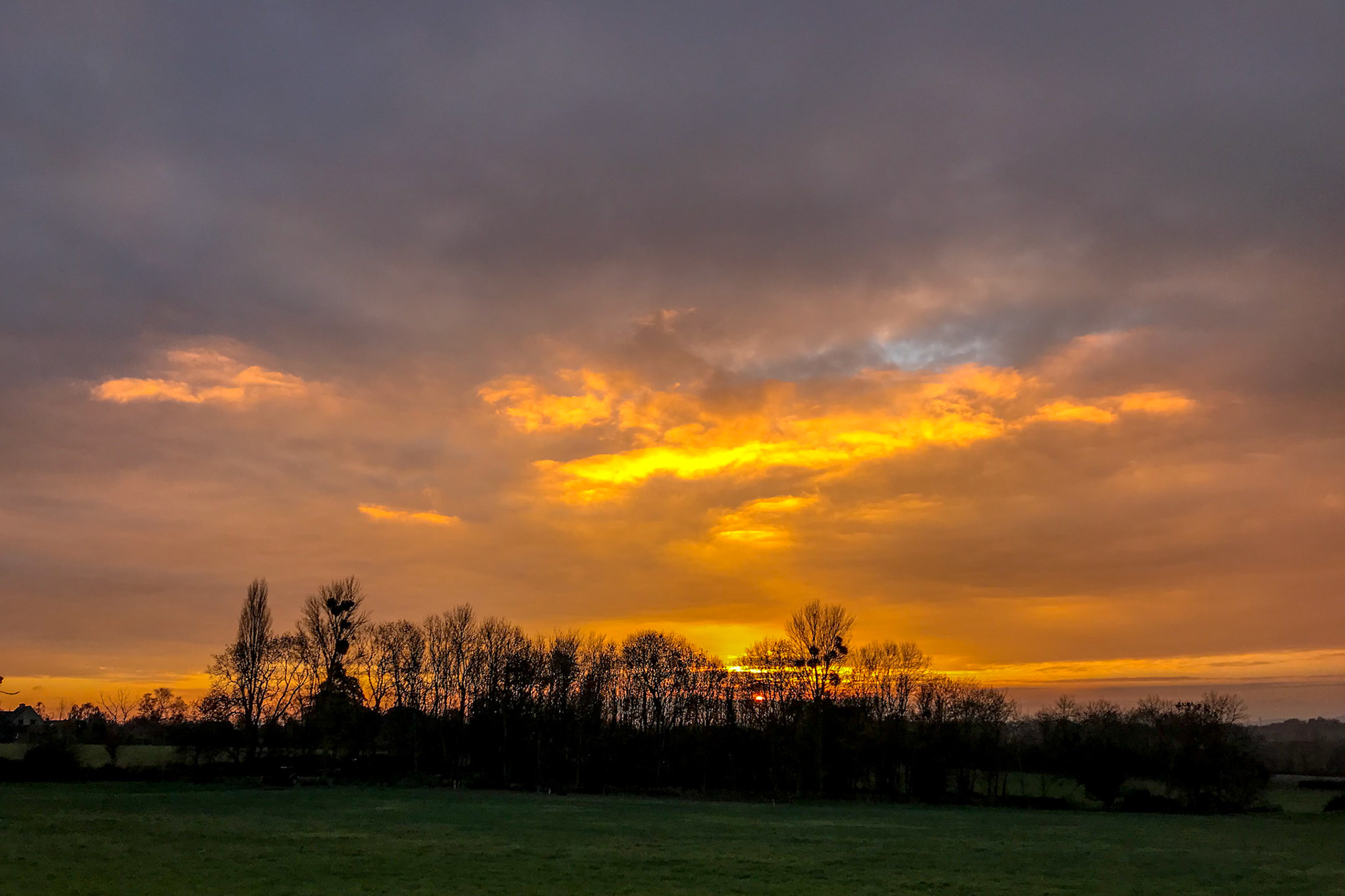 Nov 25th - Great sunset colours this afternoon