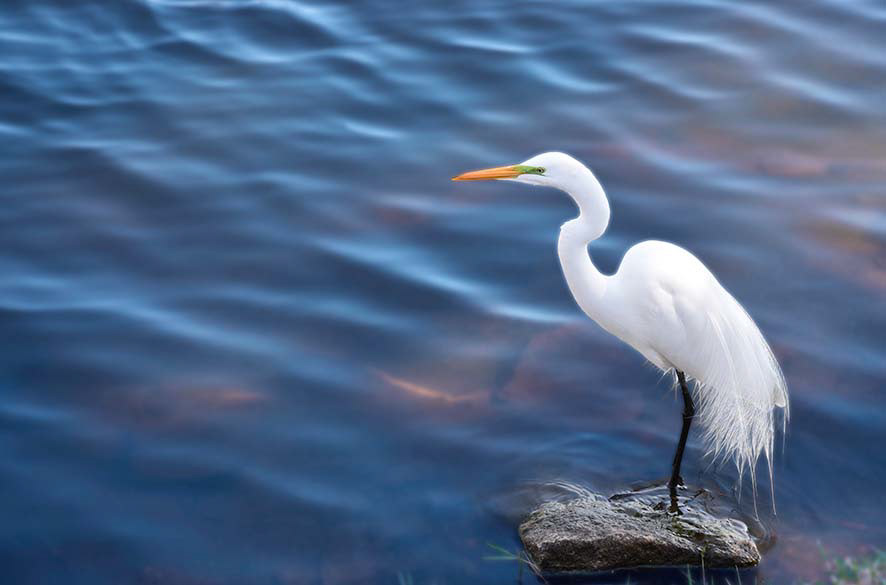 Lagoa da Pampulha 17.1