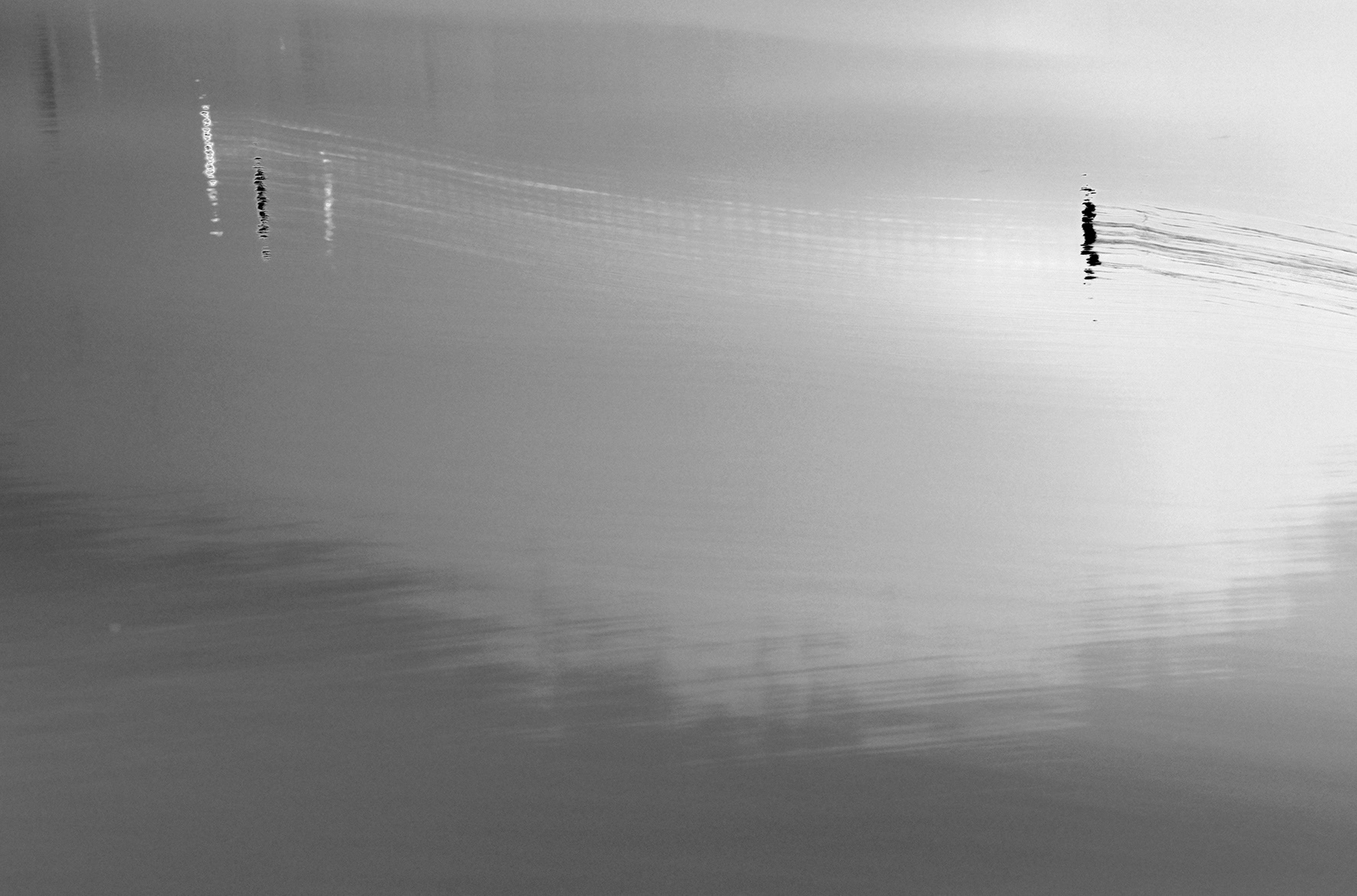 Paisagem Fantasma 6 branca