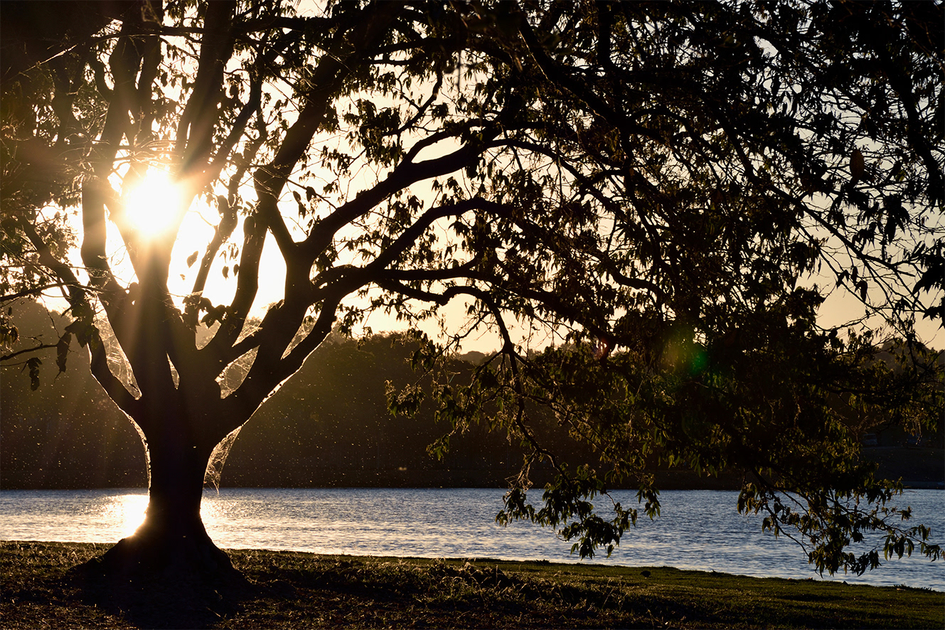 Lagoa da Pampulha 1.1