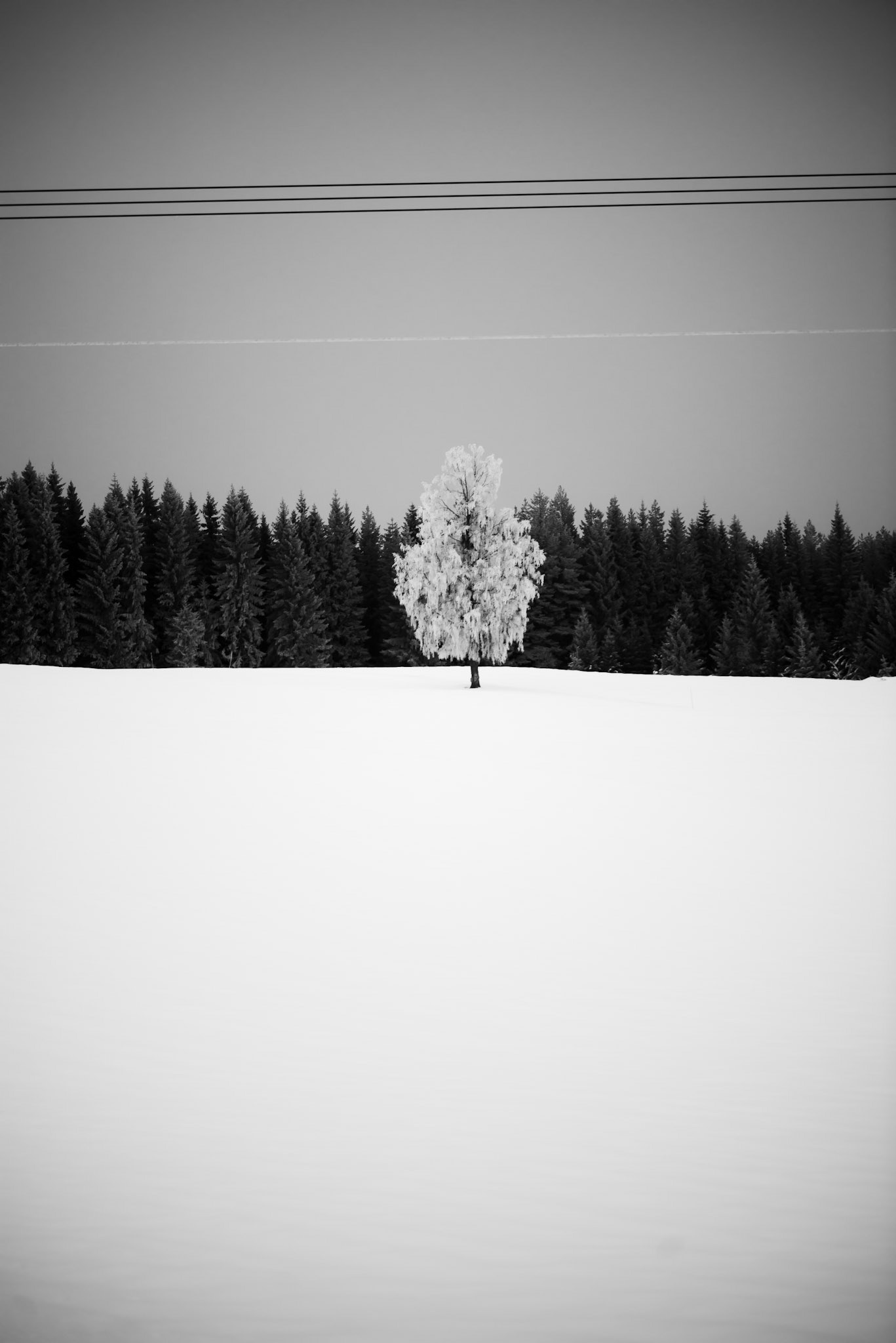Lead singer - © Eirik Jeistad