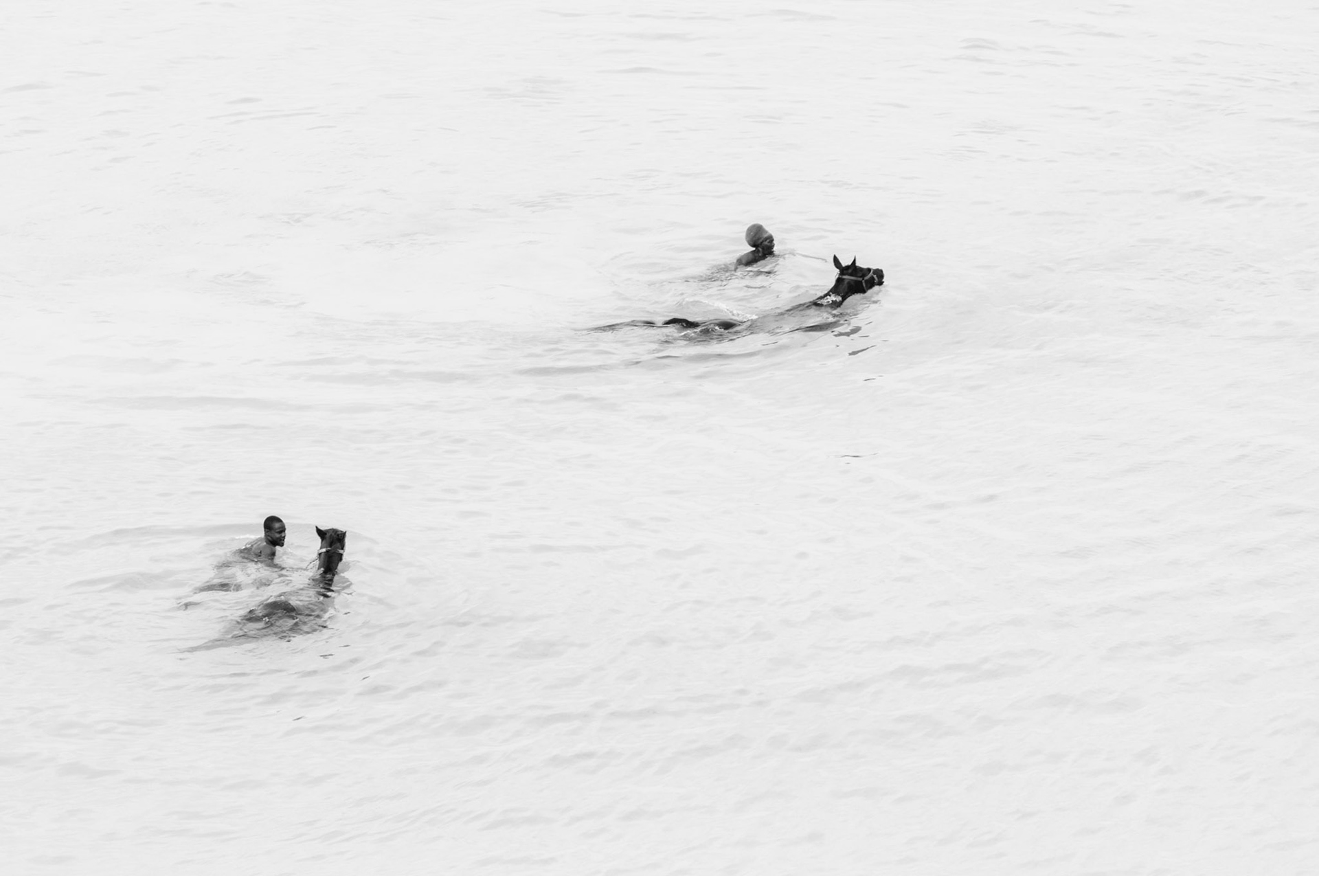 Swimming with horses - © Eirik Jeistad