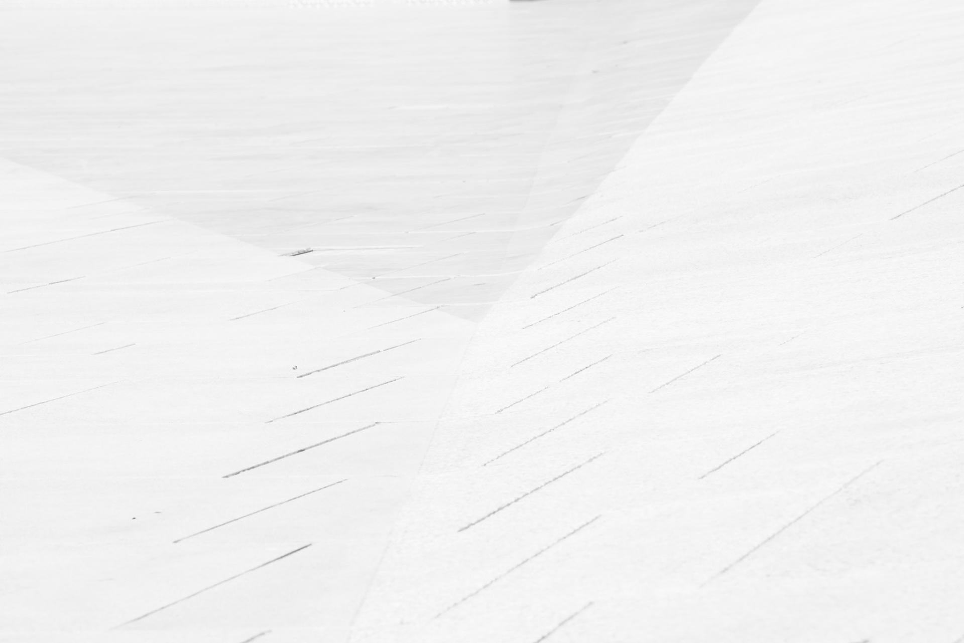 Caught in the middle - © Eirik Jeistad