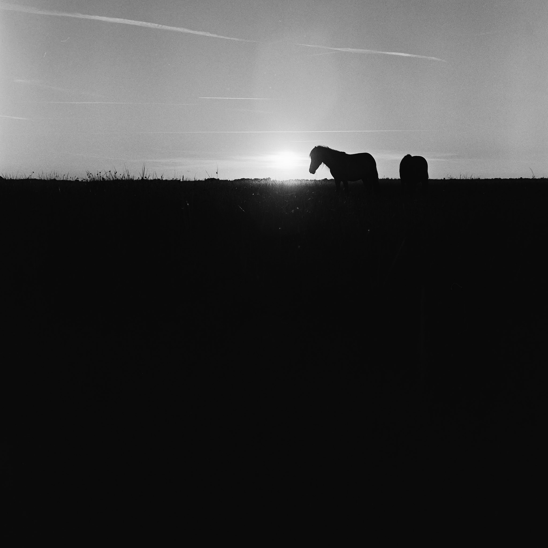 Give me a break - Hasselblad - Eirik Jeistad