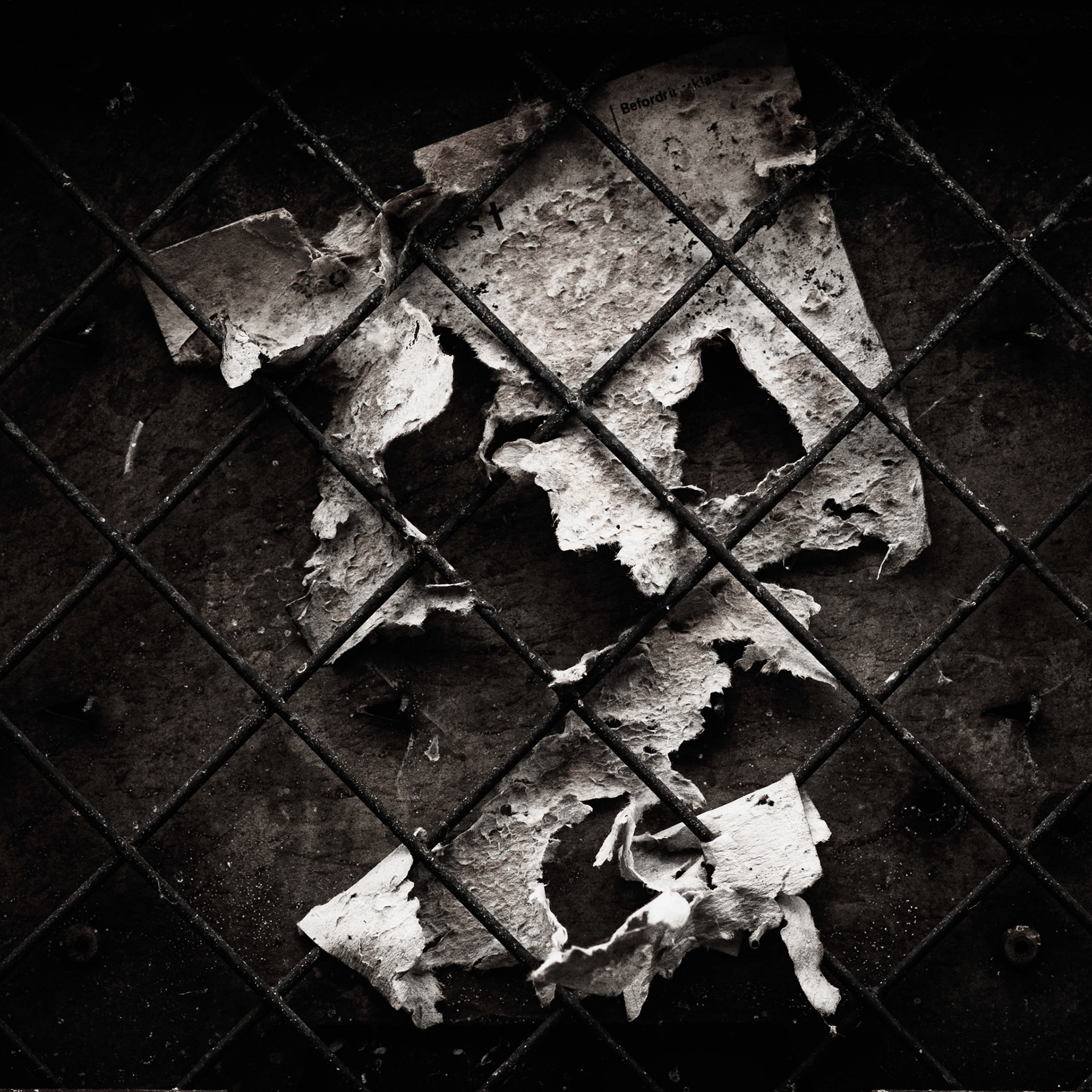 Scream - © Eirik Jeistad