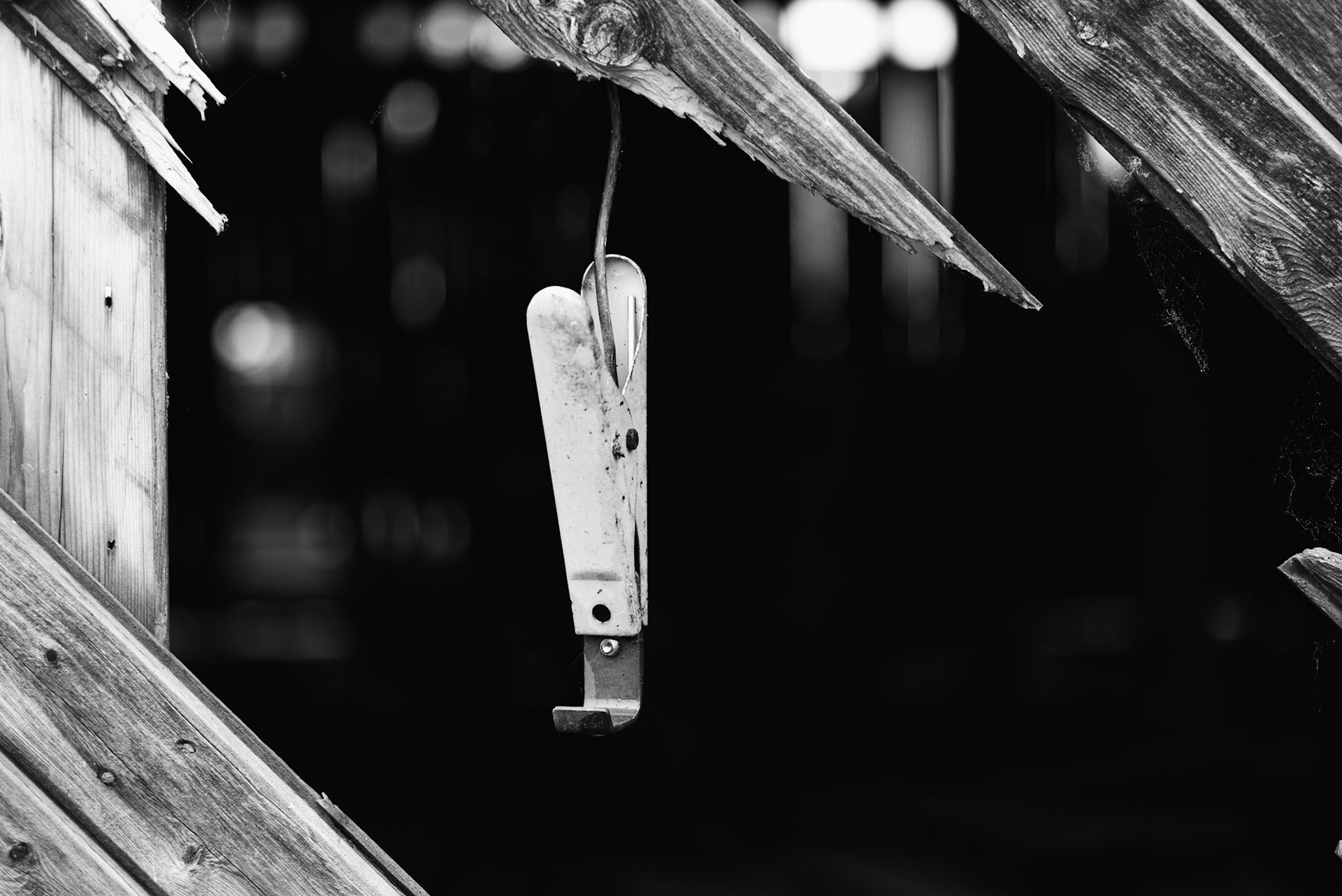 Left to die - © Eirik Jeistad