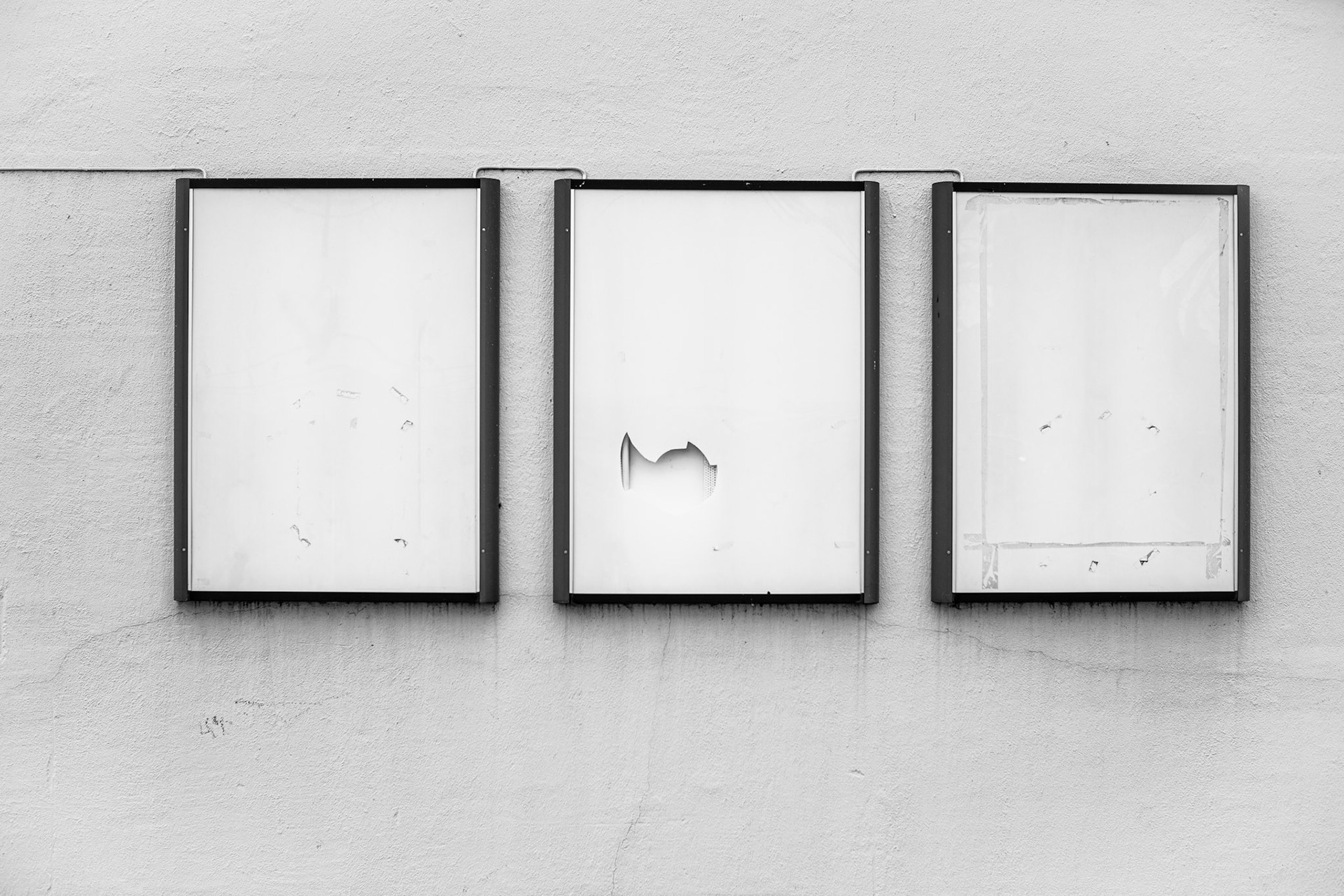 Best friends forever - © Eirik Jeistad