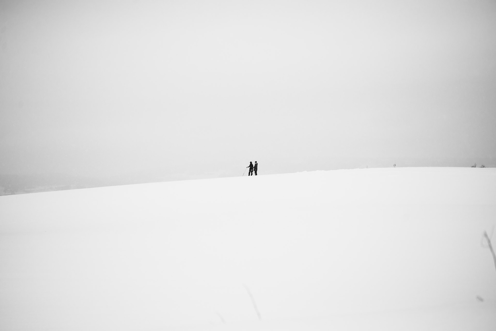 Hate to say I told you so - © Eirik Jeistad