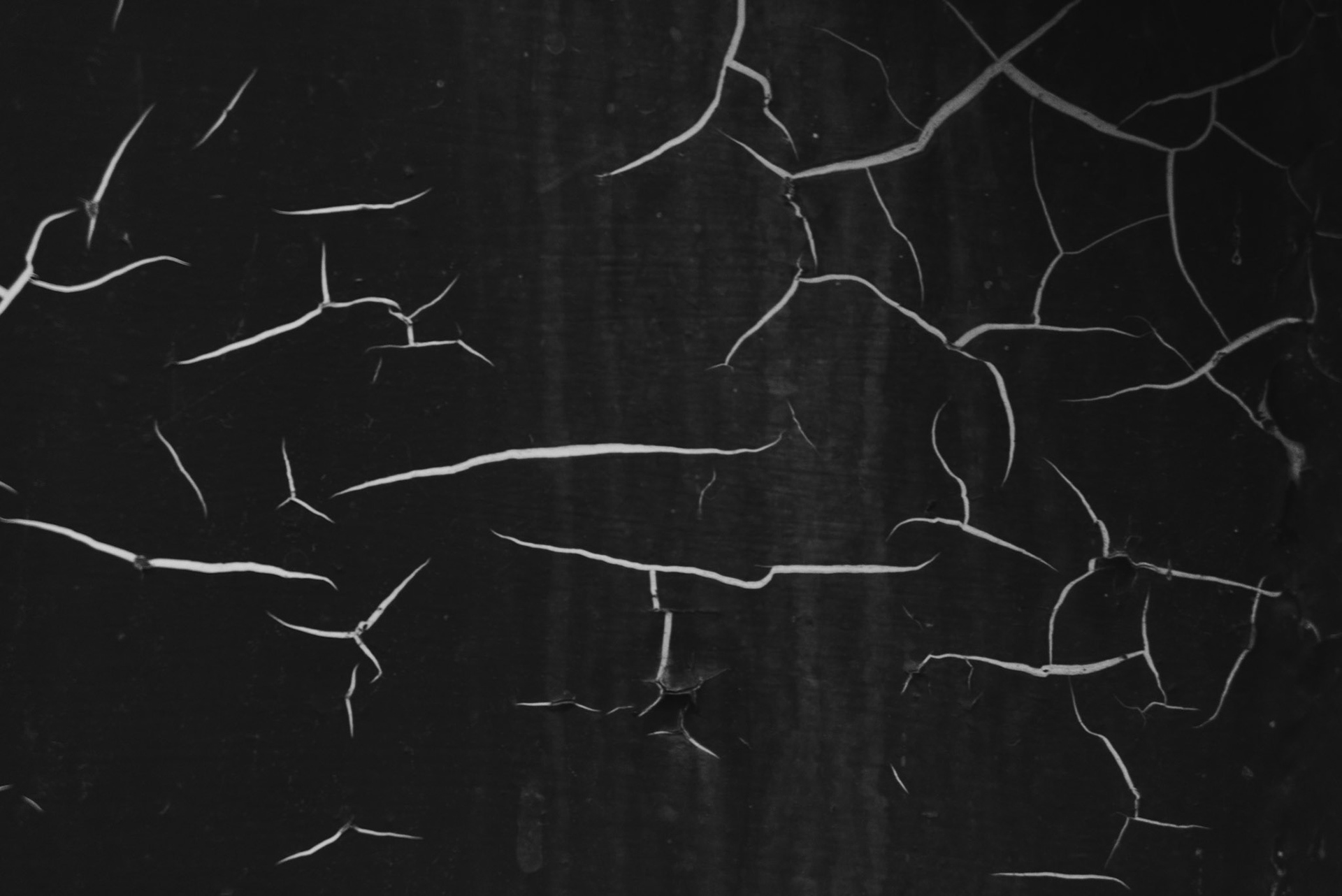 Winter forest - © Eirik Jeistad