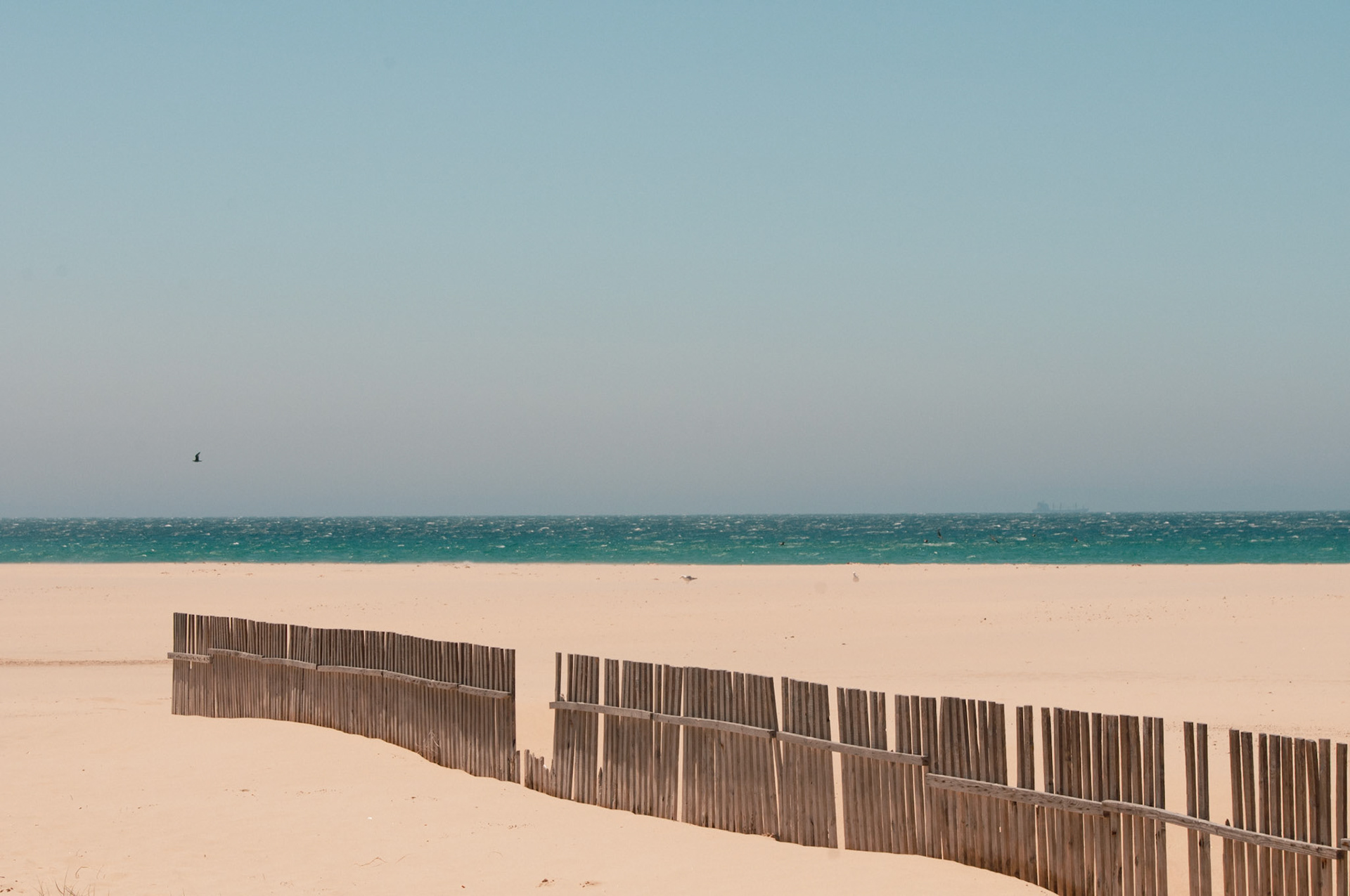 Fence the beach - © Eirik Jeistad