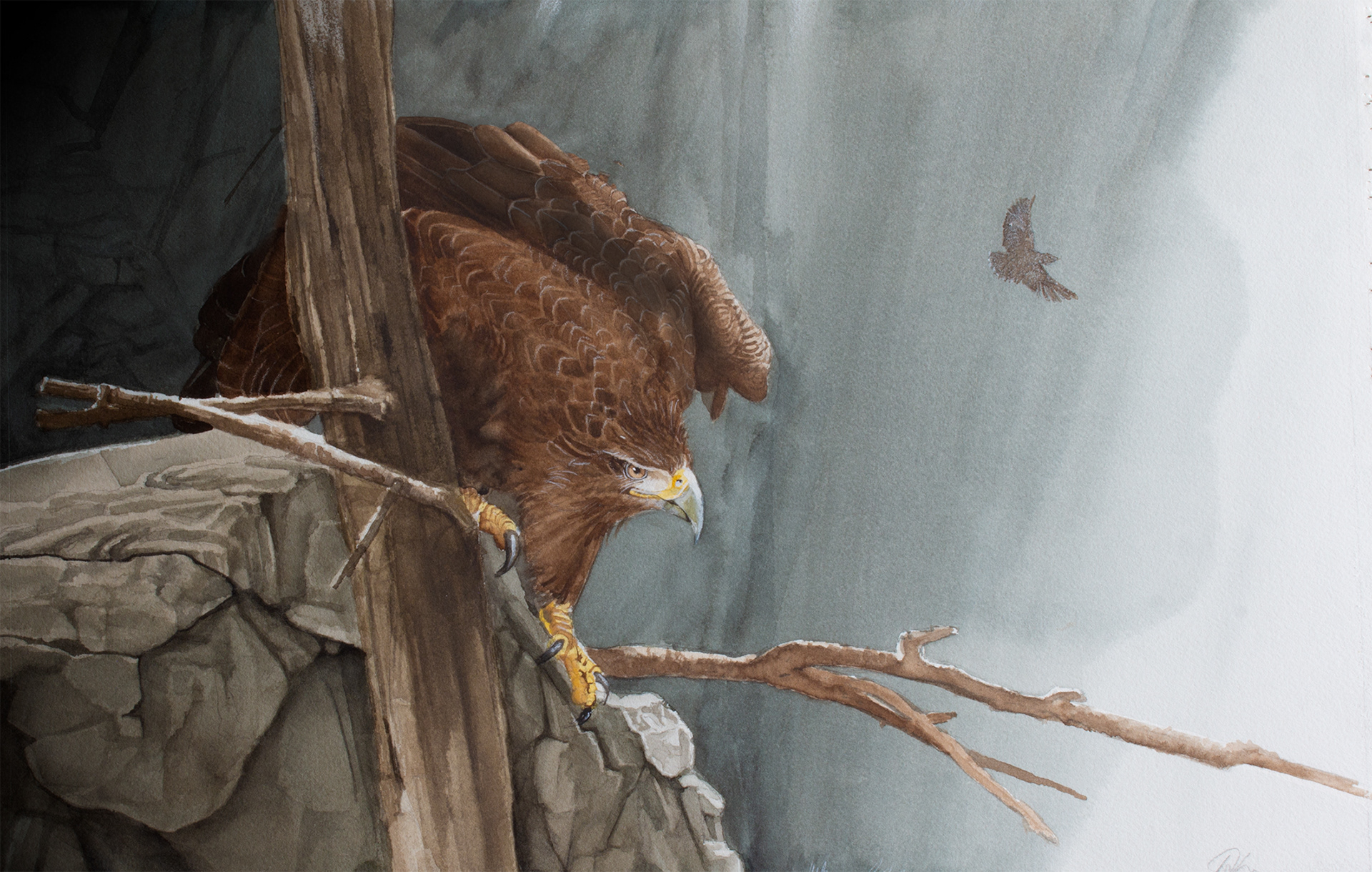 Golden Eagle - swinson.ca