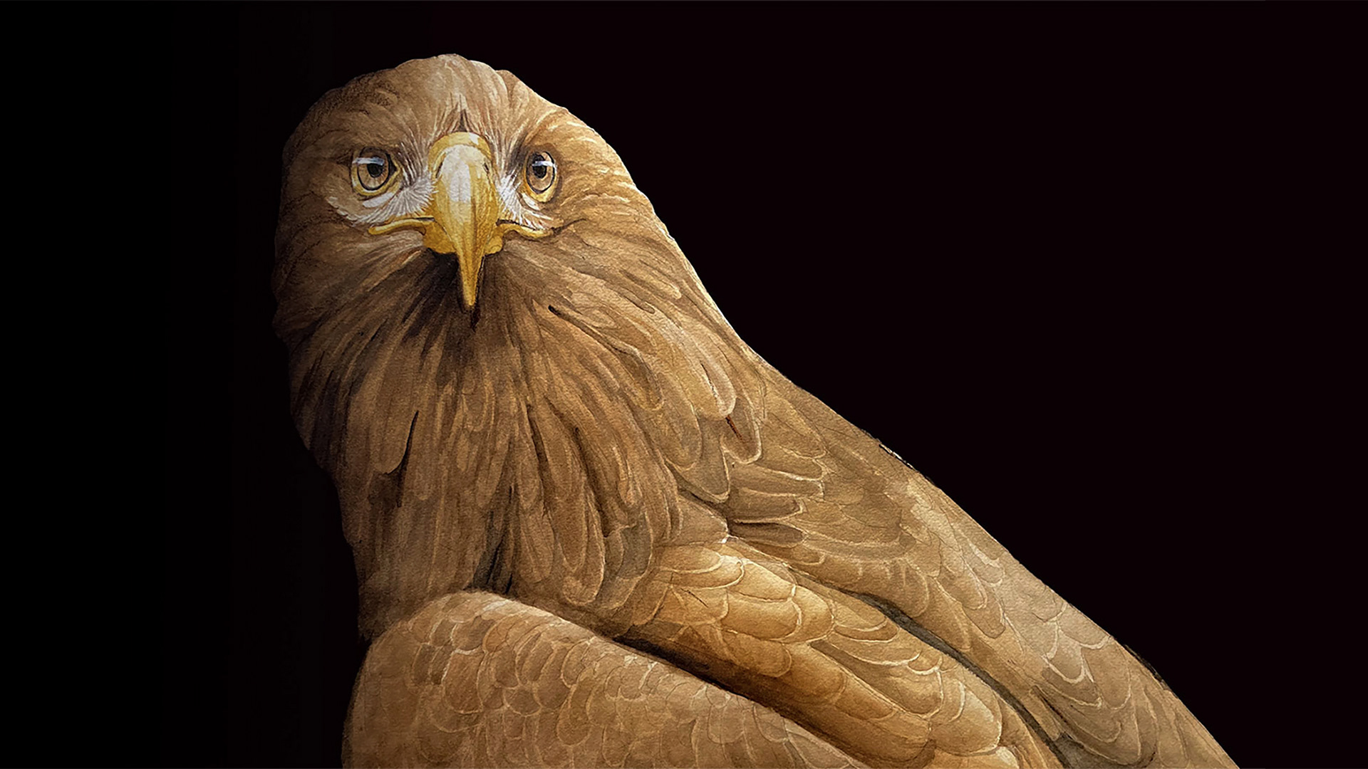 Golden Eagle - swinson.ca