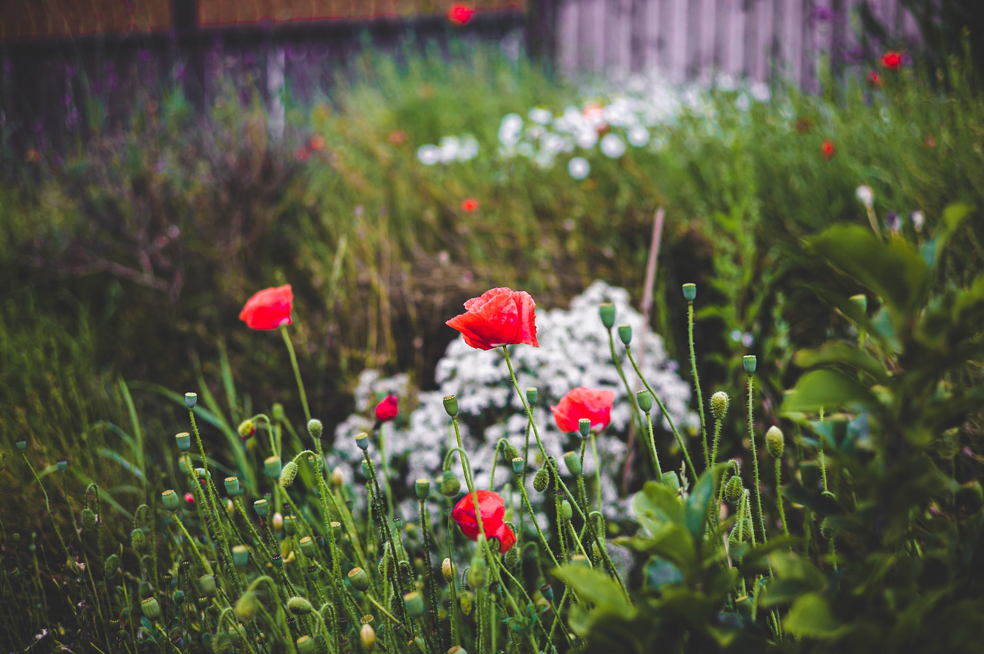 LEICA M9