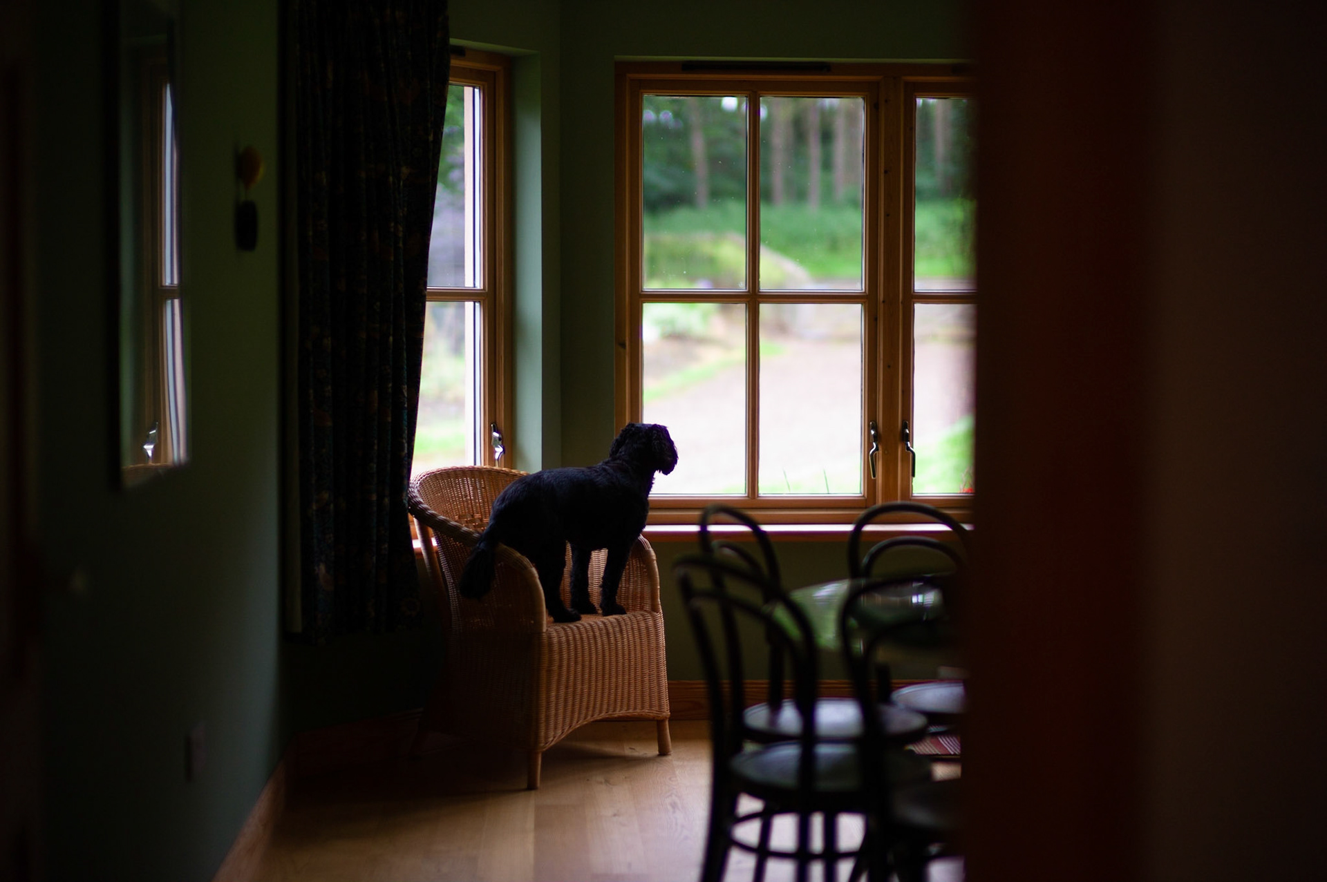 LEICA M9