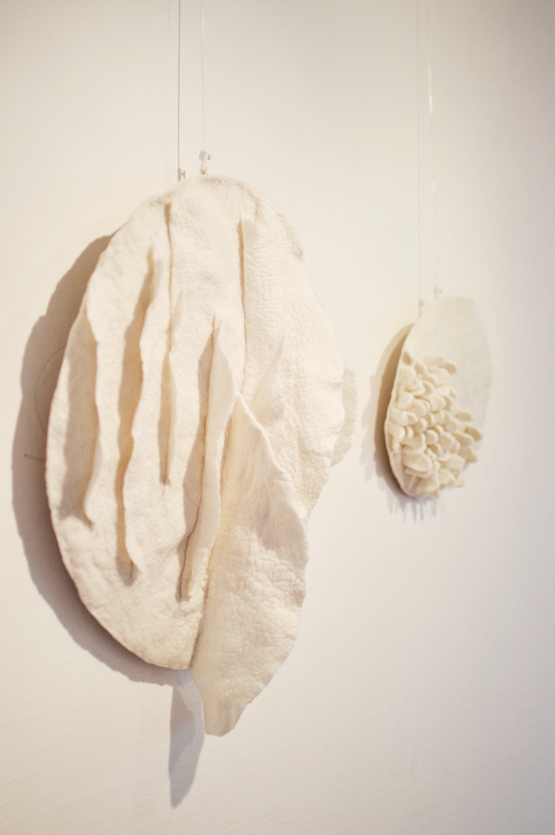 Paucae Lamellae (2020)