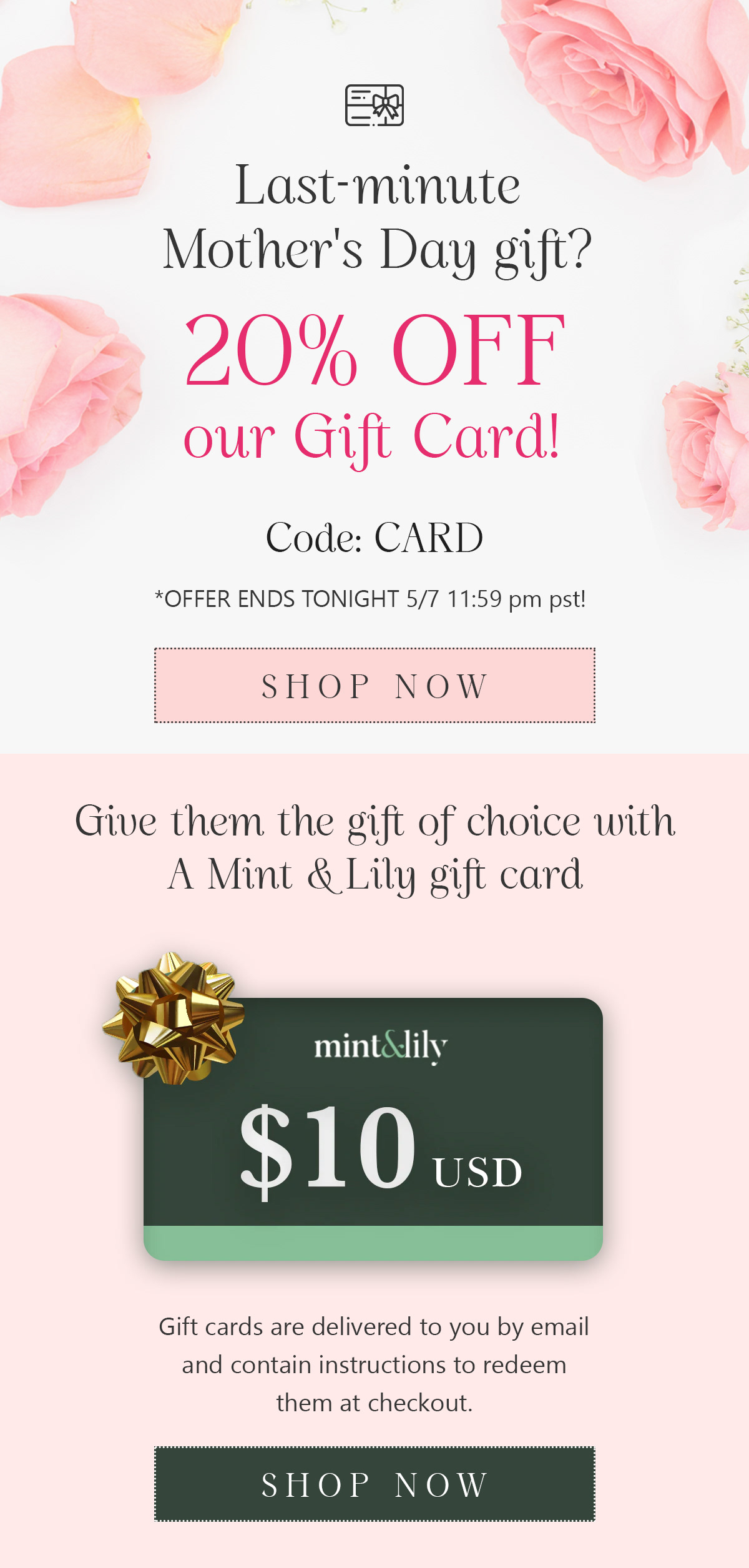 Gift Card Promotion | Mint & Lily https://mintandlily.com/