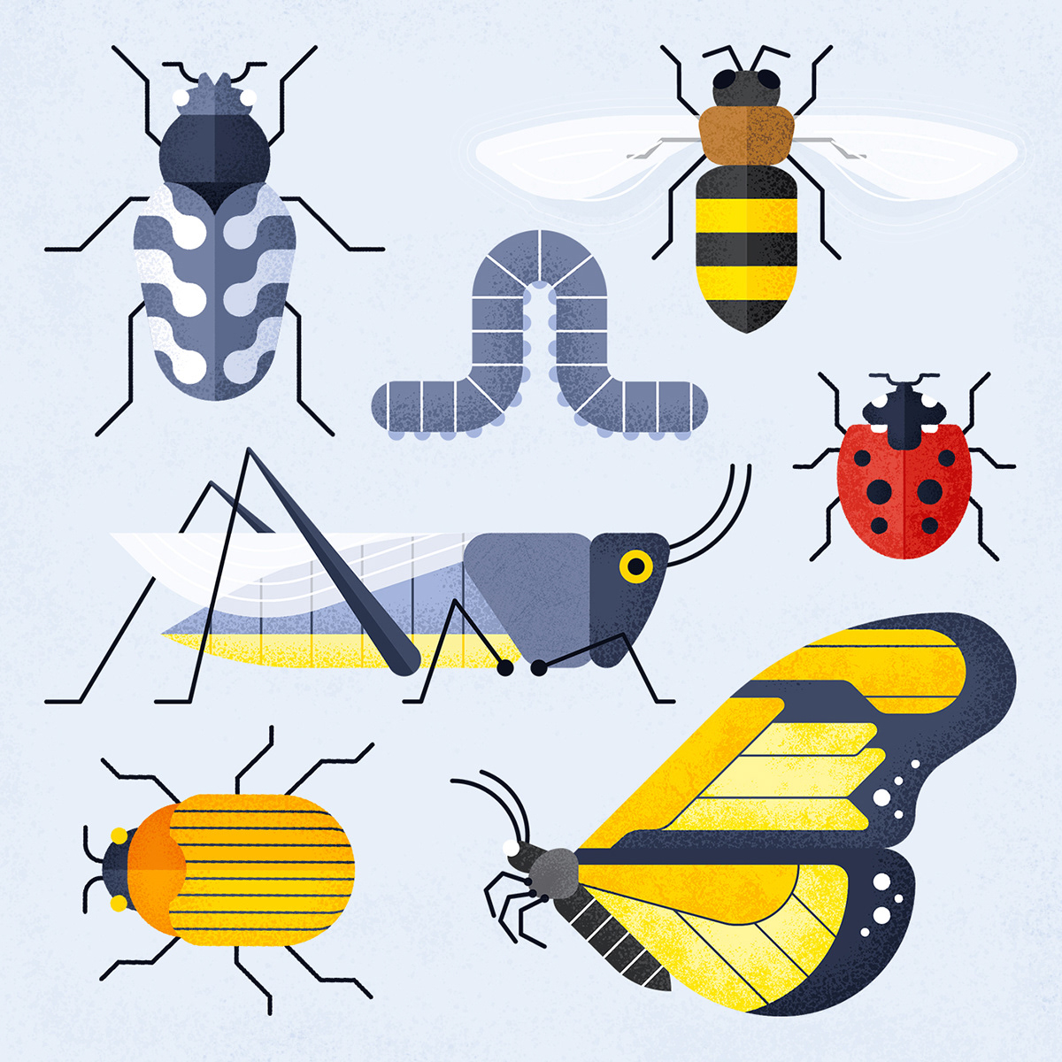 Various insects by Adrian Bauer