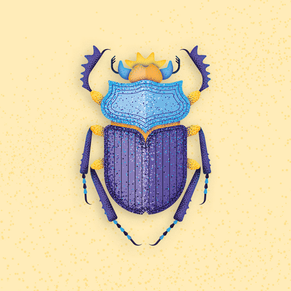 Scarab beetle illustration by Adrian Bauer