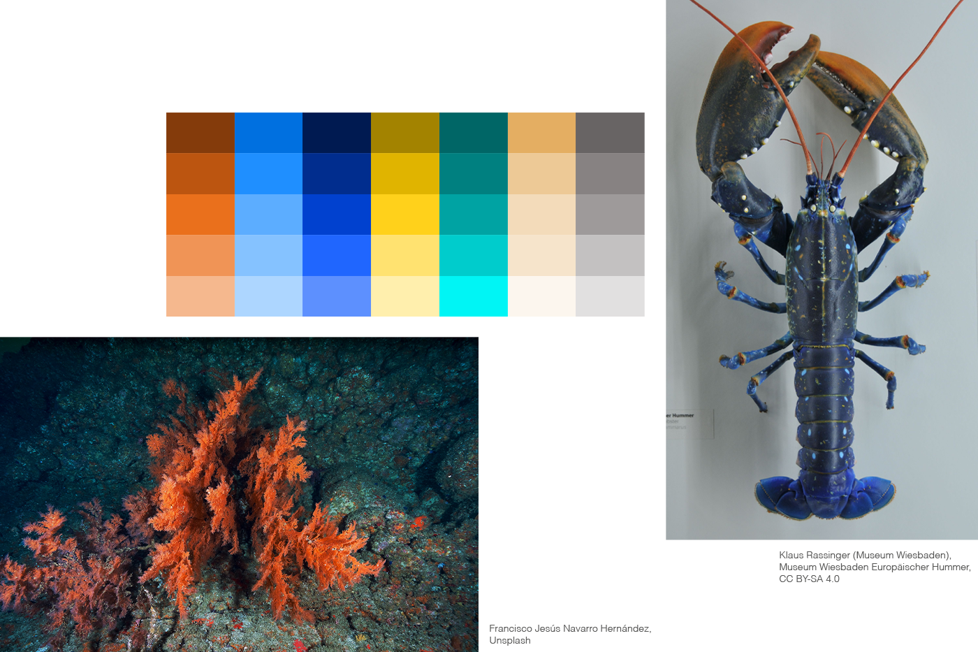Color palette and concept by Adrian Bauer