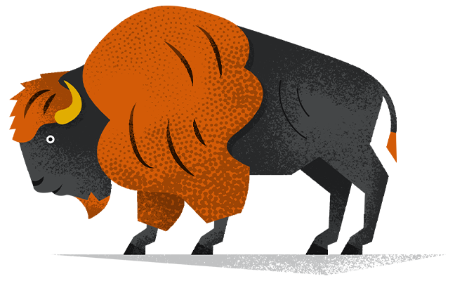 Illustrated bison vignette by Adrian Bauer