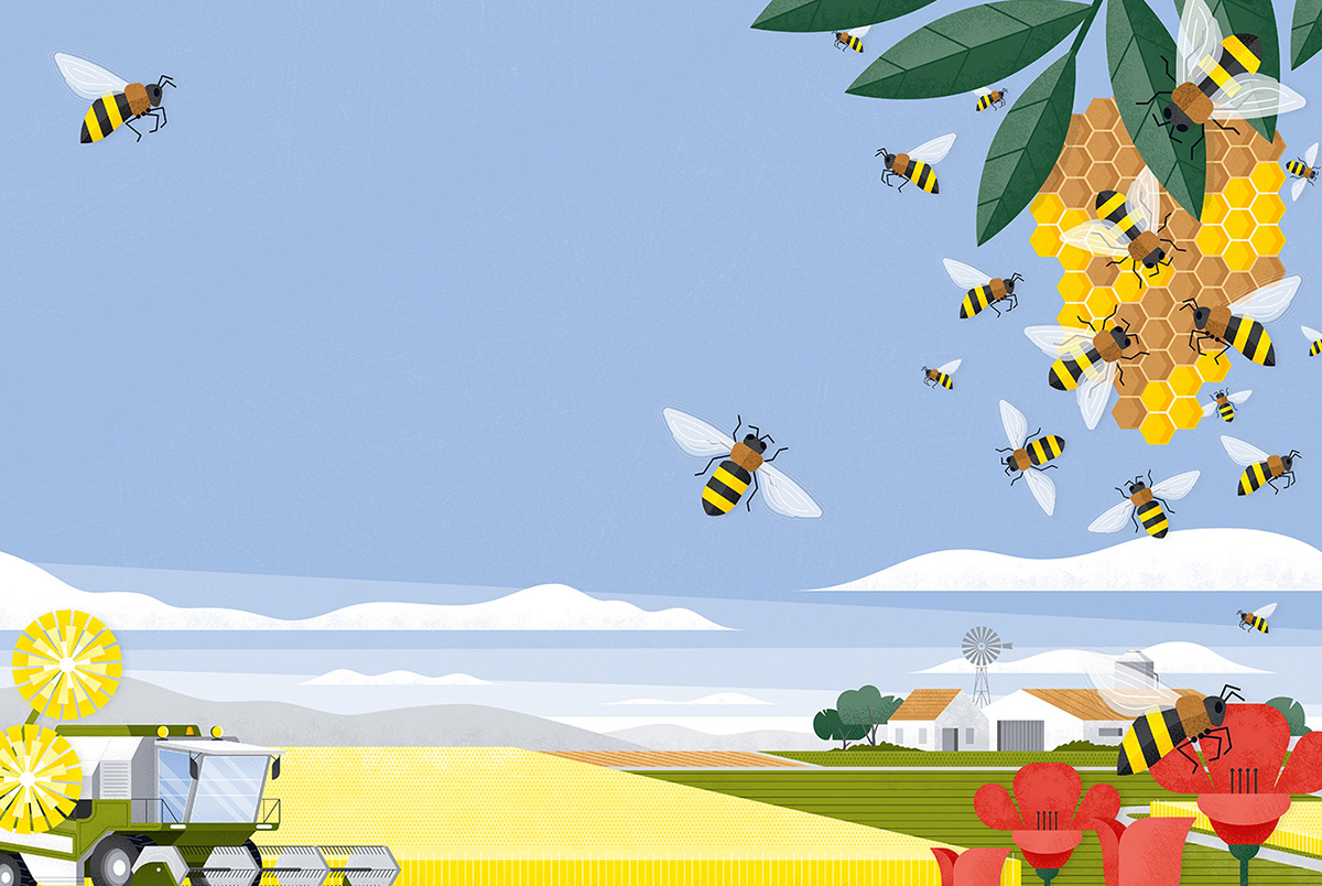 Bees flying around beehive by Adrian Bauer
