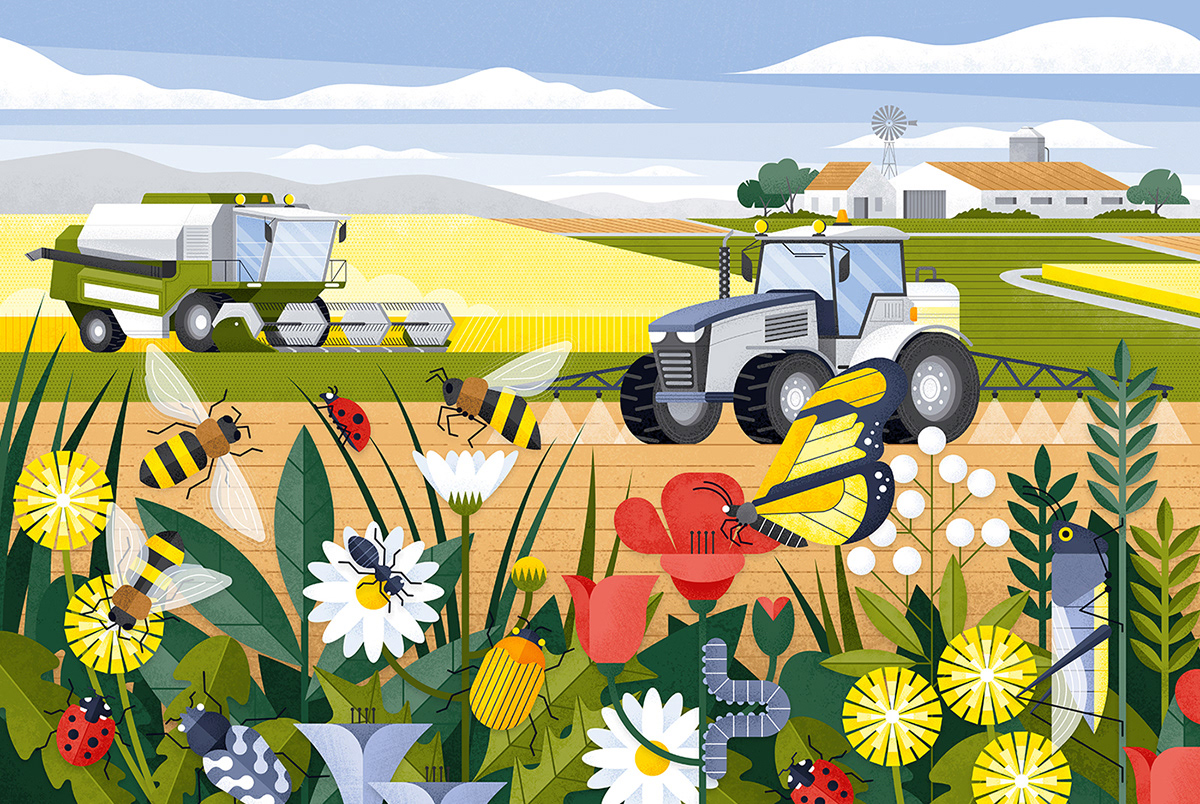 Summer field with insects and agriculture machines in the background by Adrian Bauer