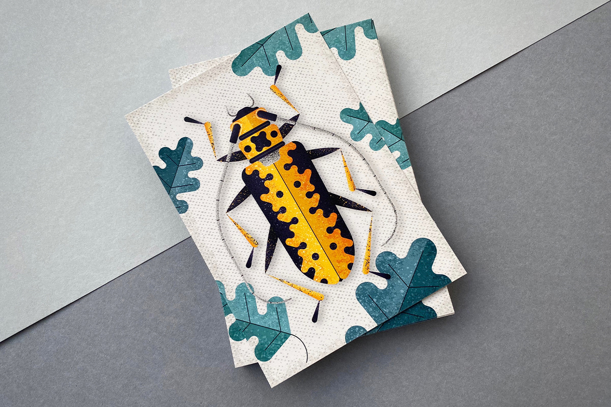 Printed beetle postcards by Adrian Bauer