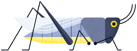 Grasshopper by Adrian Bauer