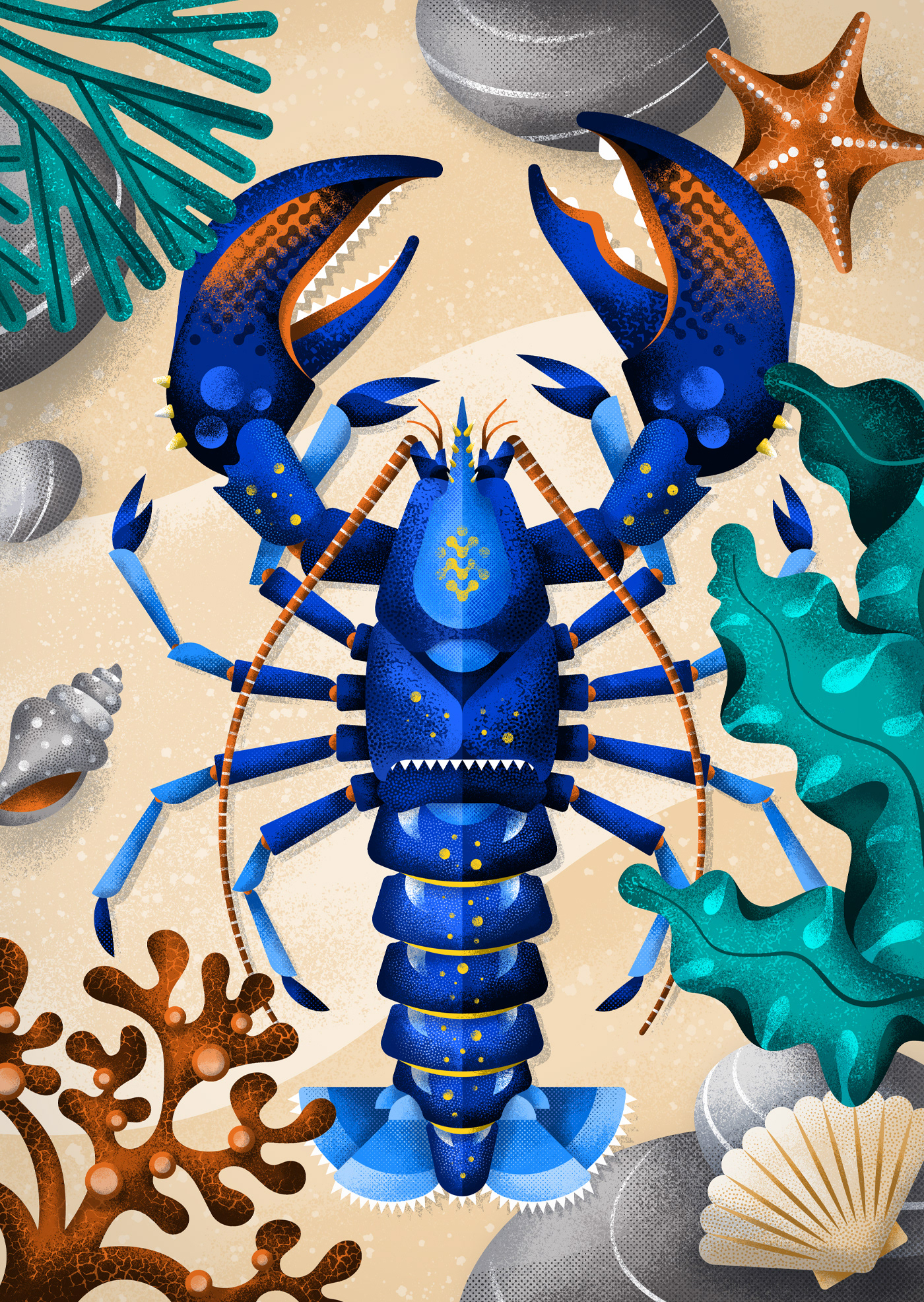 Blue lobster animal illustration with seaweed and a starfish as background by Adrian Bauer