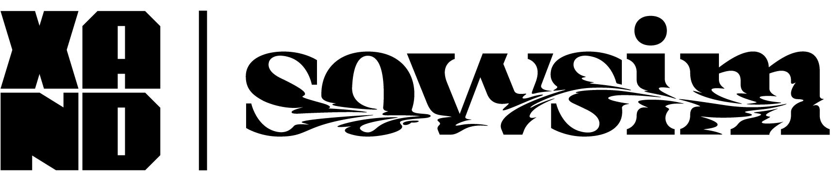 Xande Souza | Sowsim HUB