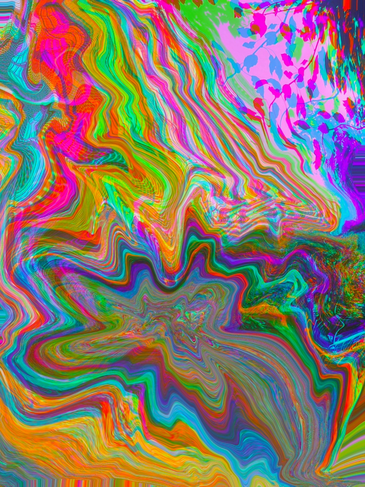 True Onion #16 | September 2025